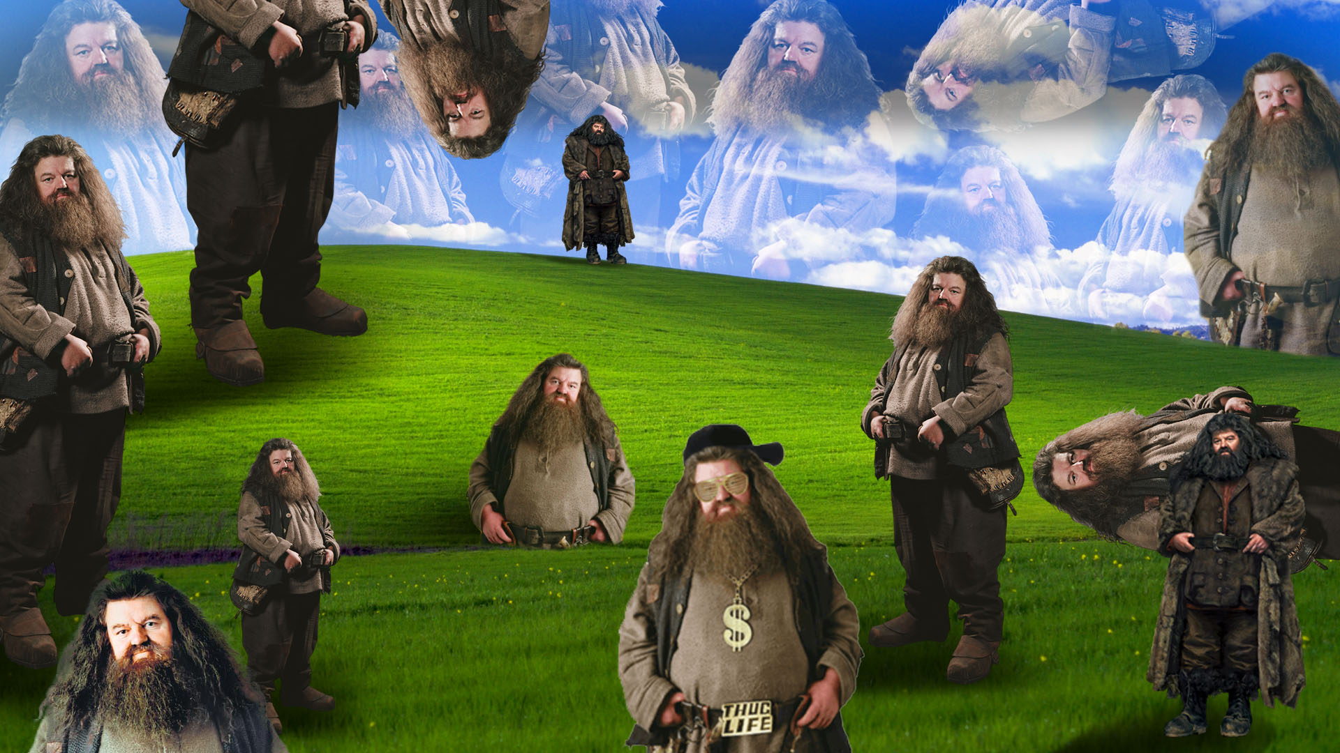 Hagrid Wallpapers