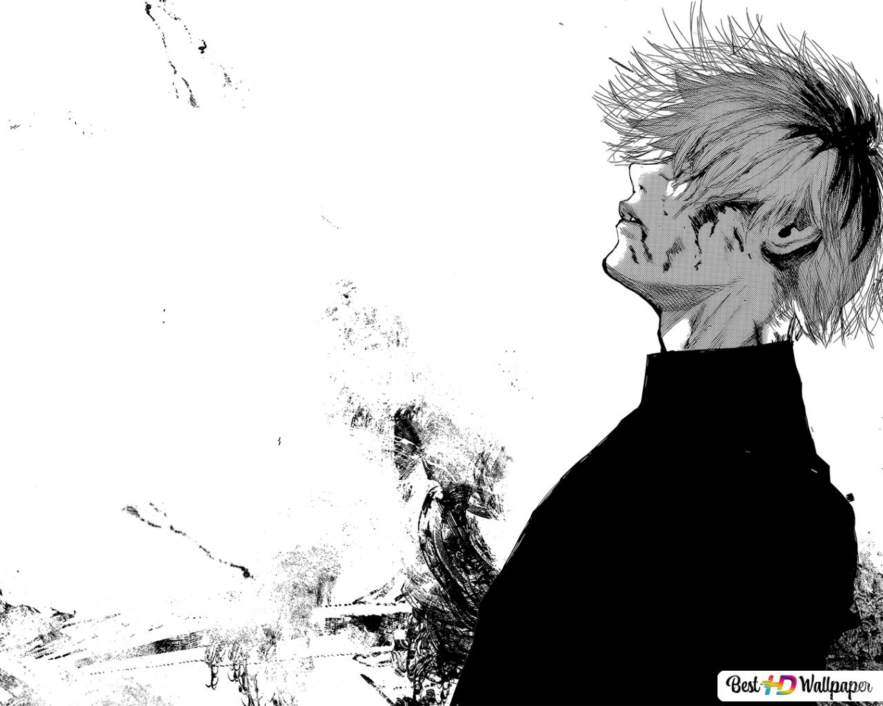 Haise Sasaki Manga Wallpapers