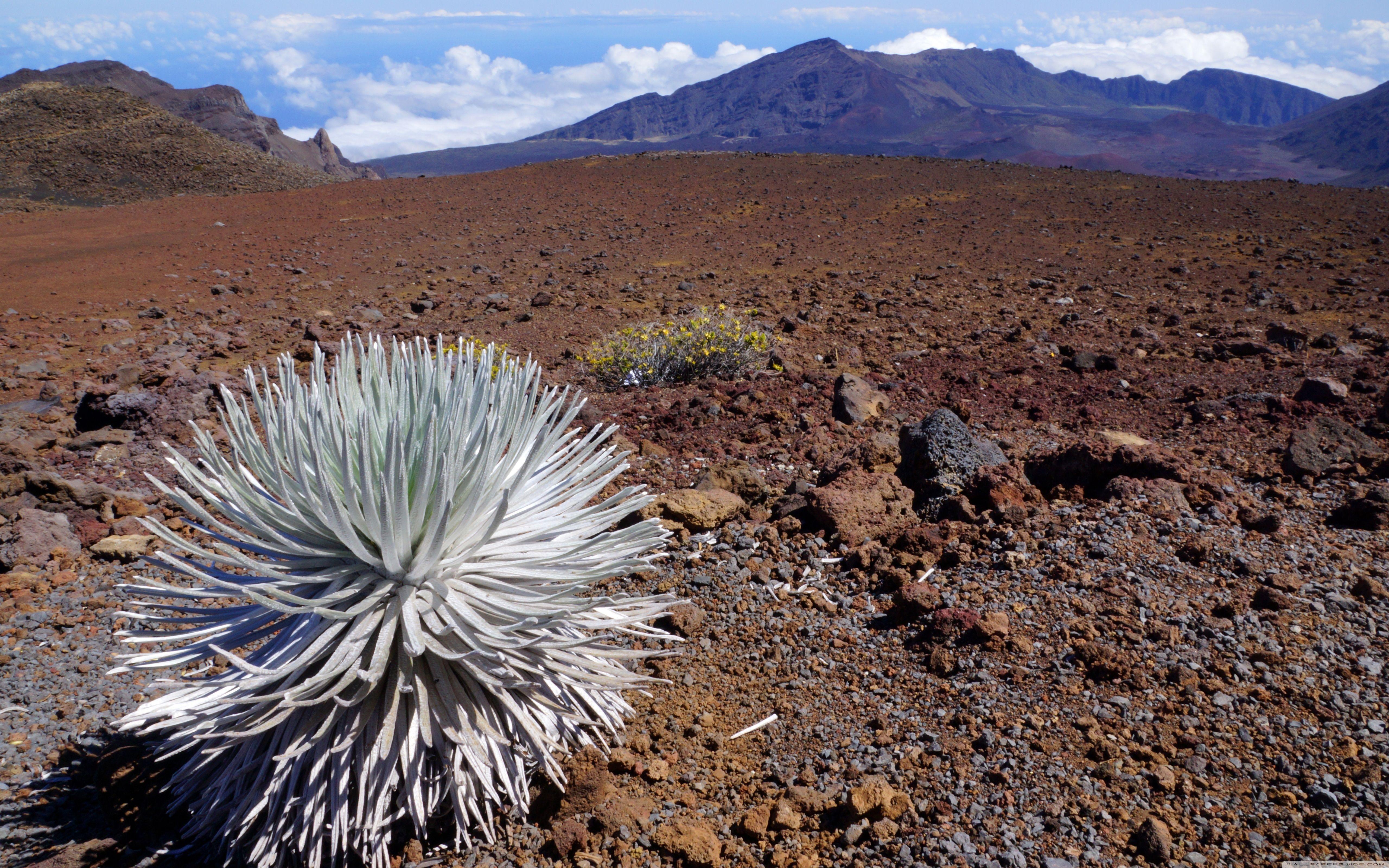 Haleakalдѓ National Park Wallpapers