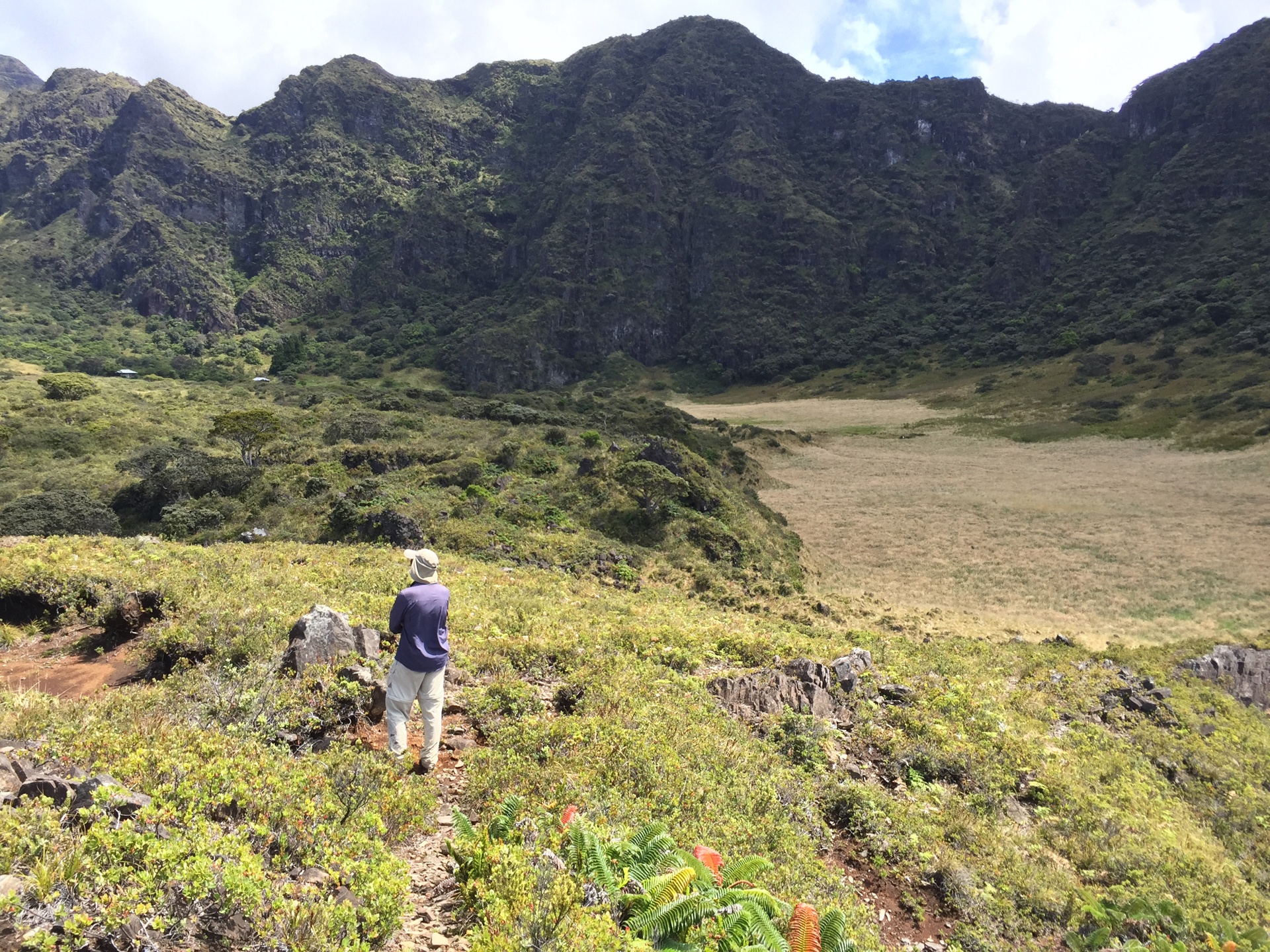 Haleakalдѓ National Park Wallpapers