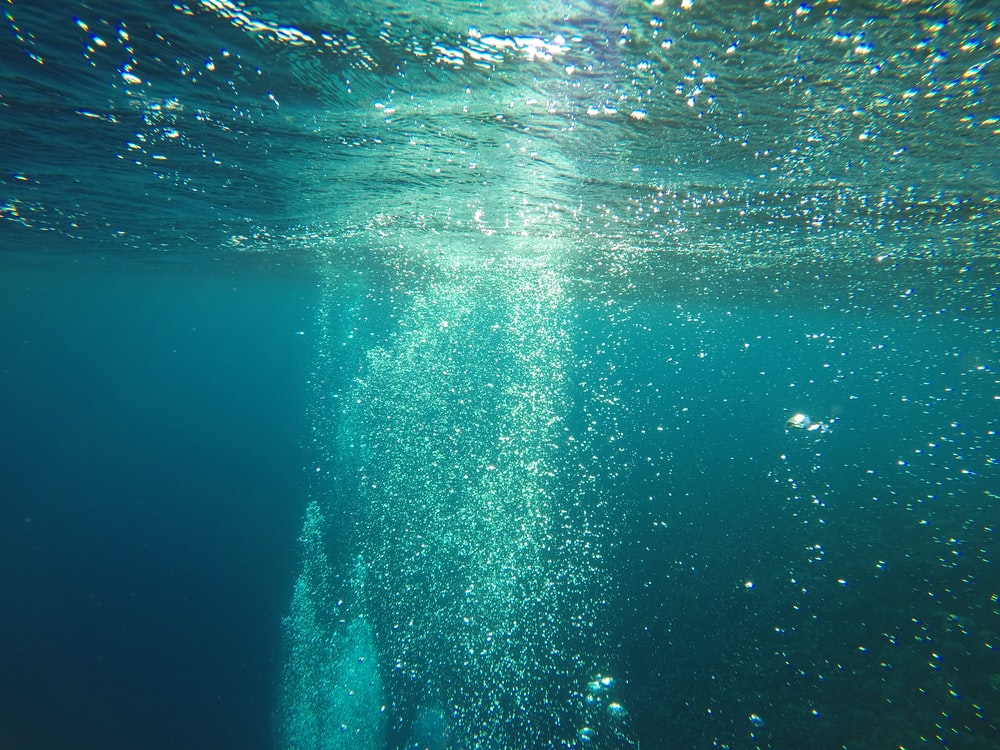 Half Underwater Ocean Wallpapers