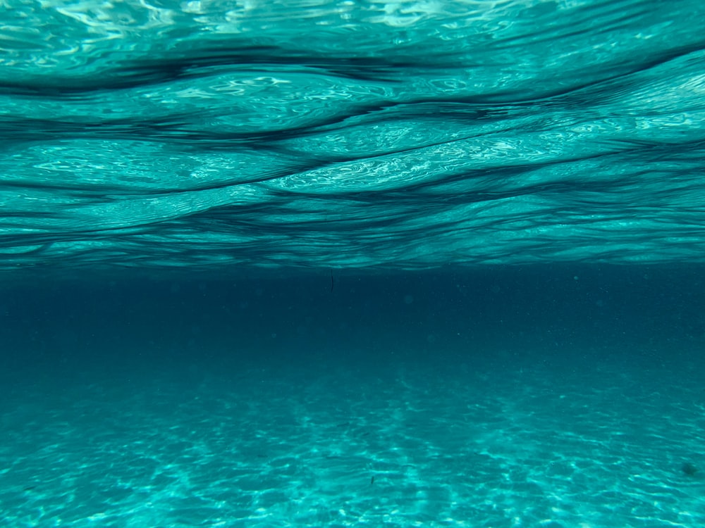 Half Underwater Ocean Wallpapers