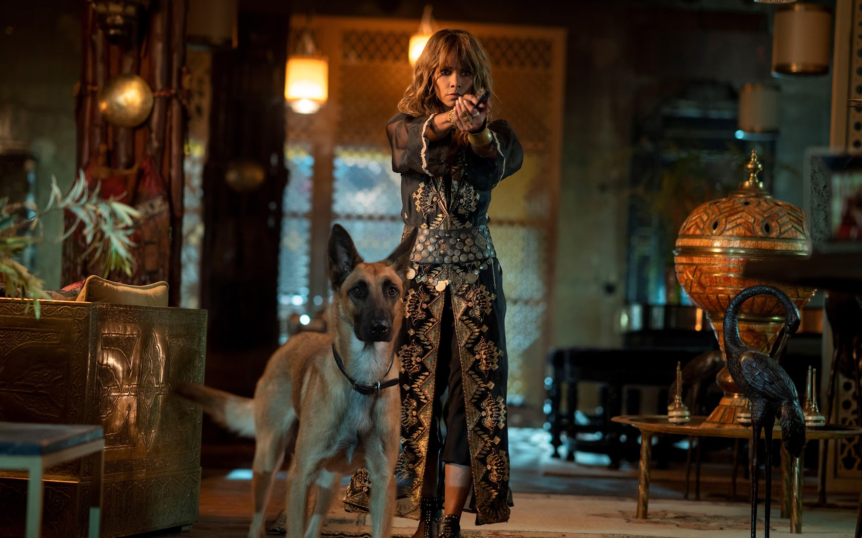 Halle Berry In John Wick 3 Wallpapers