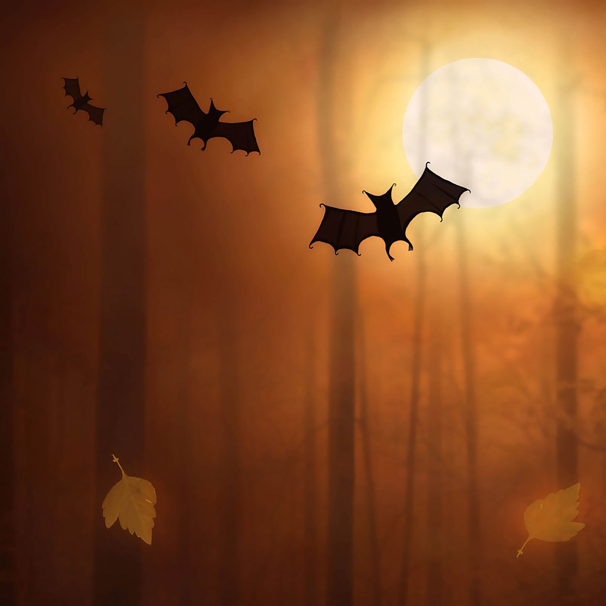 Halloween Ipad Wallpapers