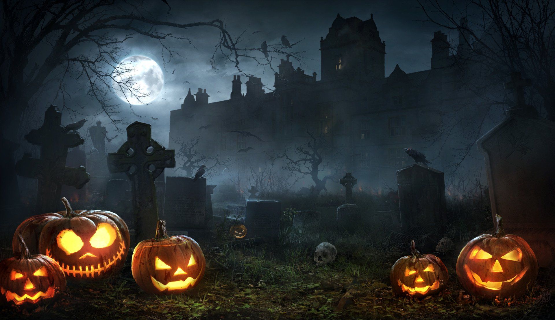 Halloween Night Background