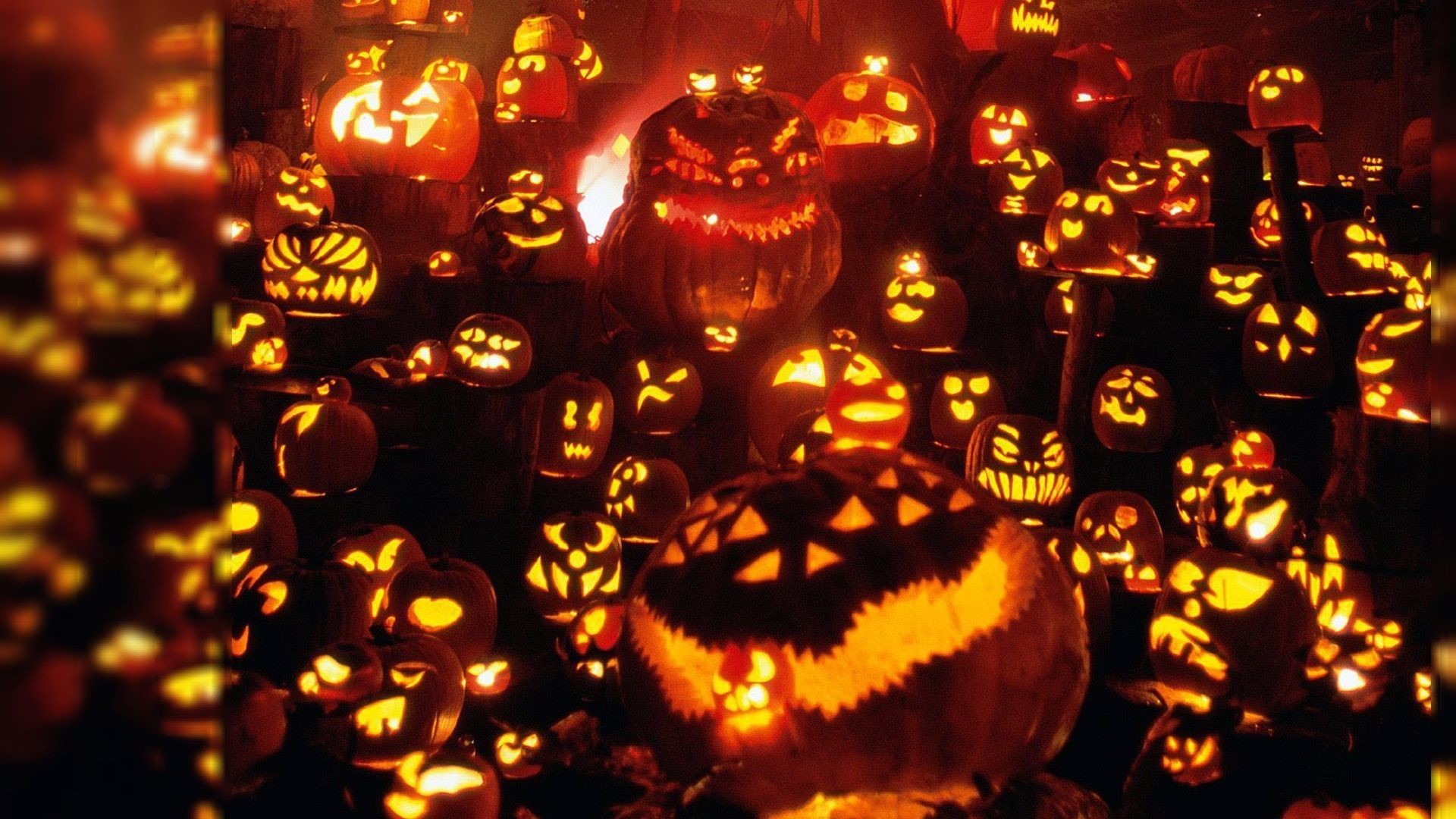 Halloween Scary Pumpkin Wallpapers