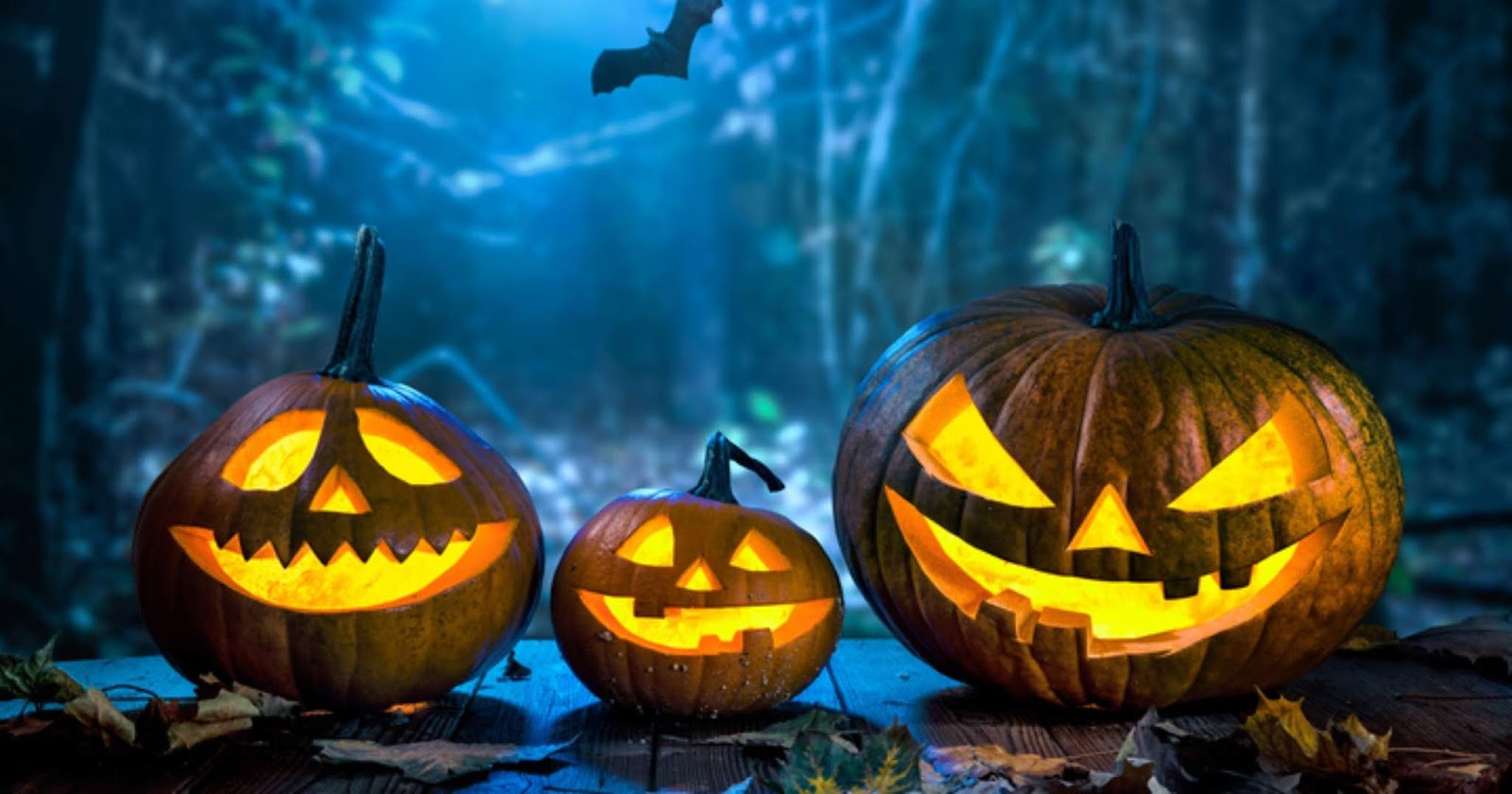 Halloween Scary Pumpkin Wallpapers