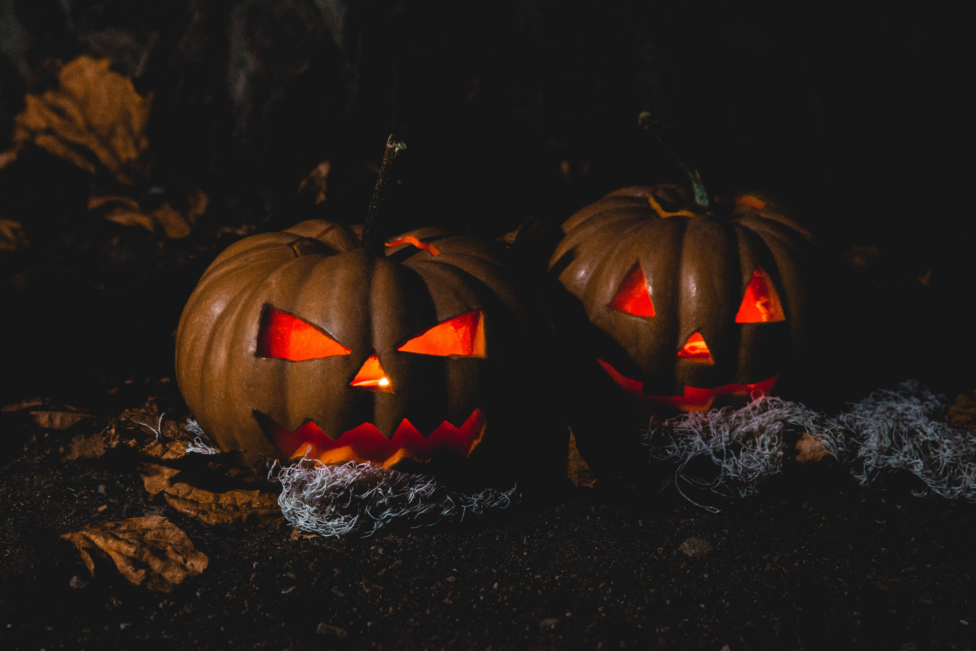 Halloween Scary Pumpkin Wallpapers