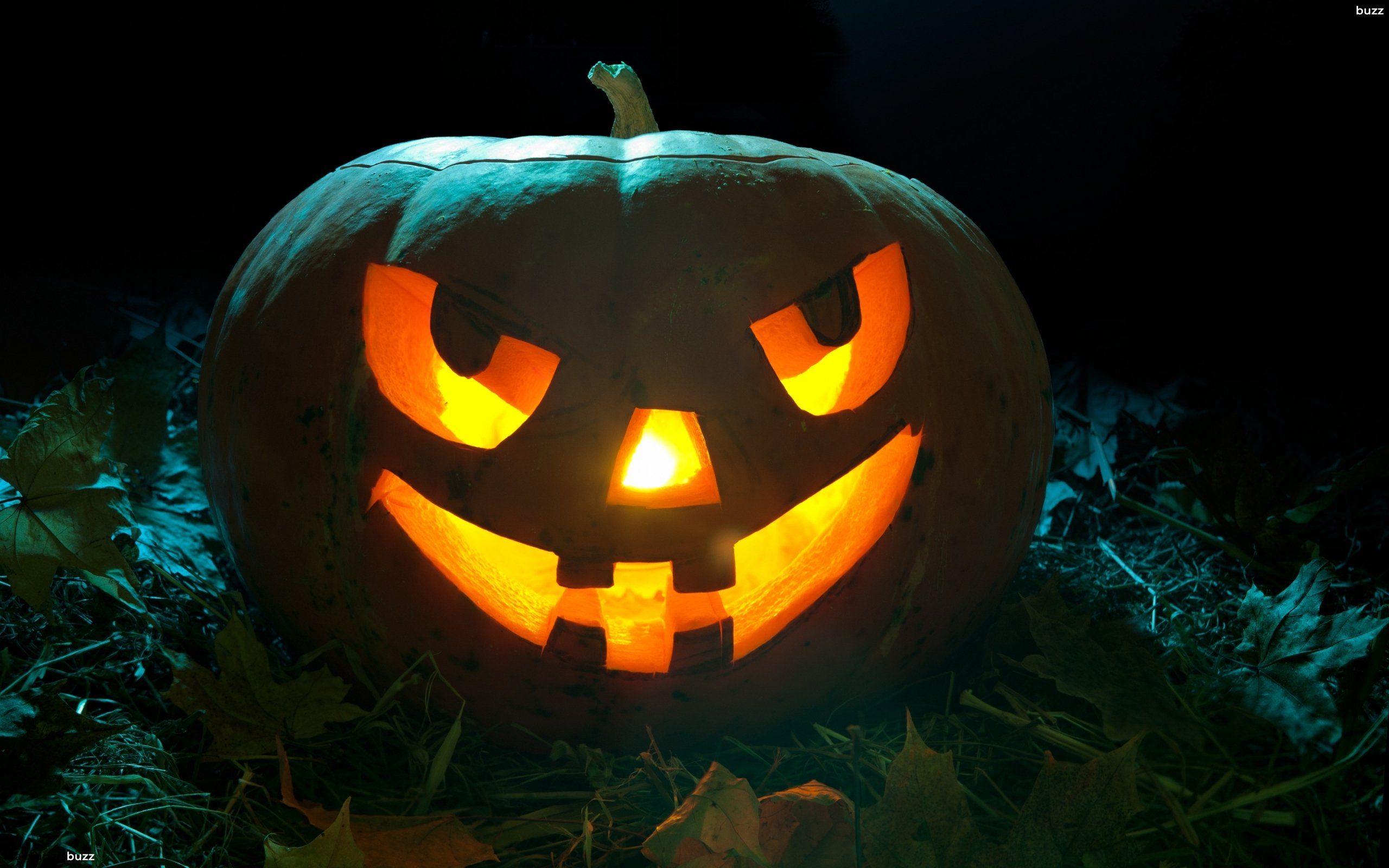 Halloween Scary Pumpkin Wallpapers