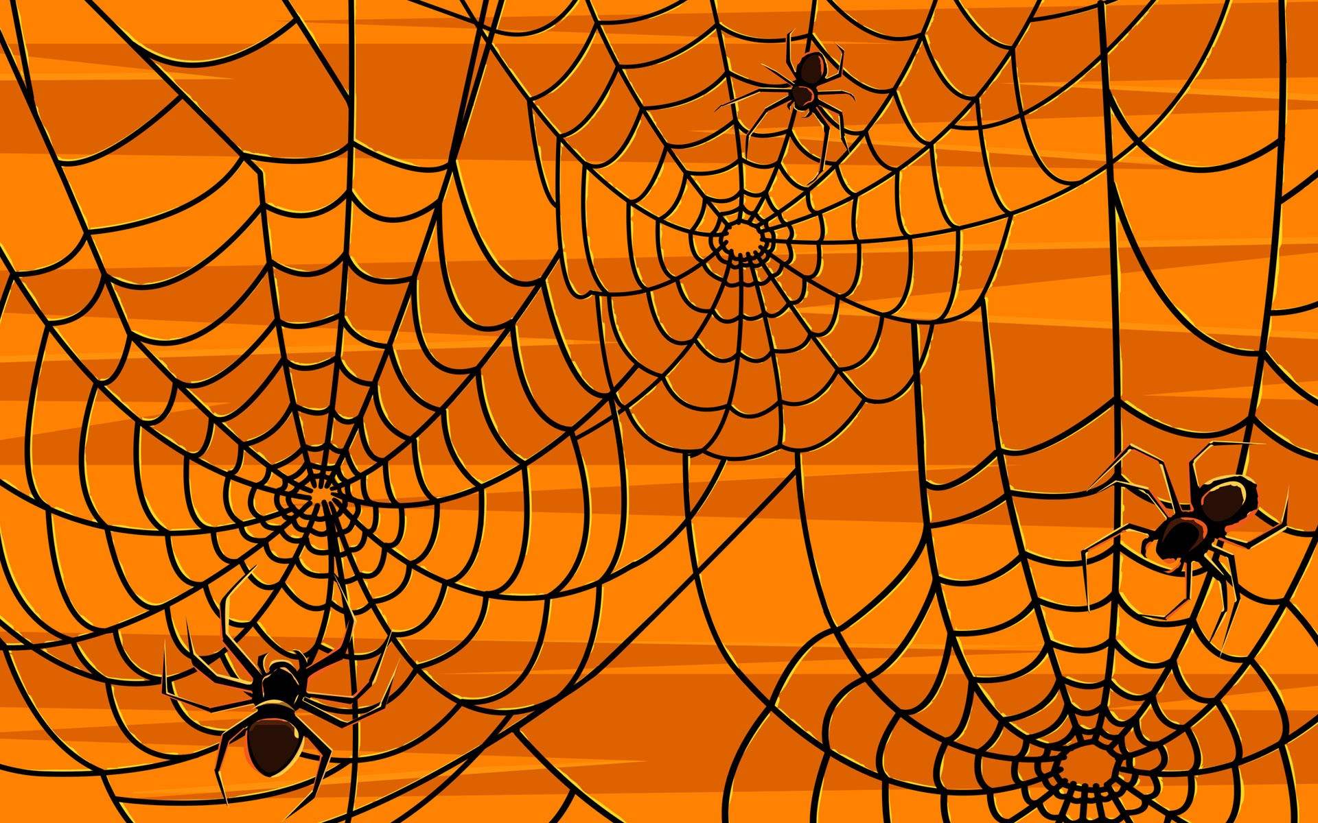 Halloween Spider Wallpapers
