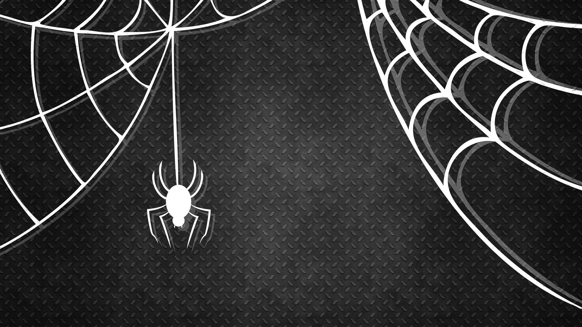 Halloween Spider Web Wallpapers