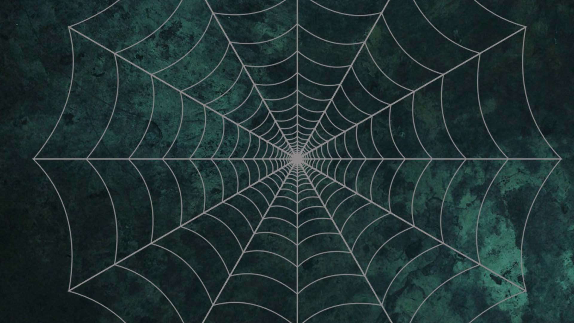 Halloween Spider Web Wallpapers