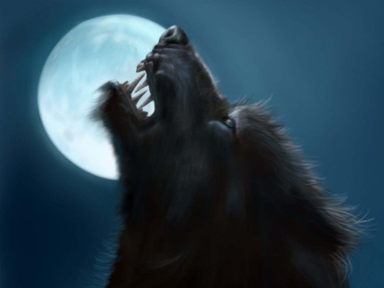 Halloween Wolf Wallpapers