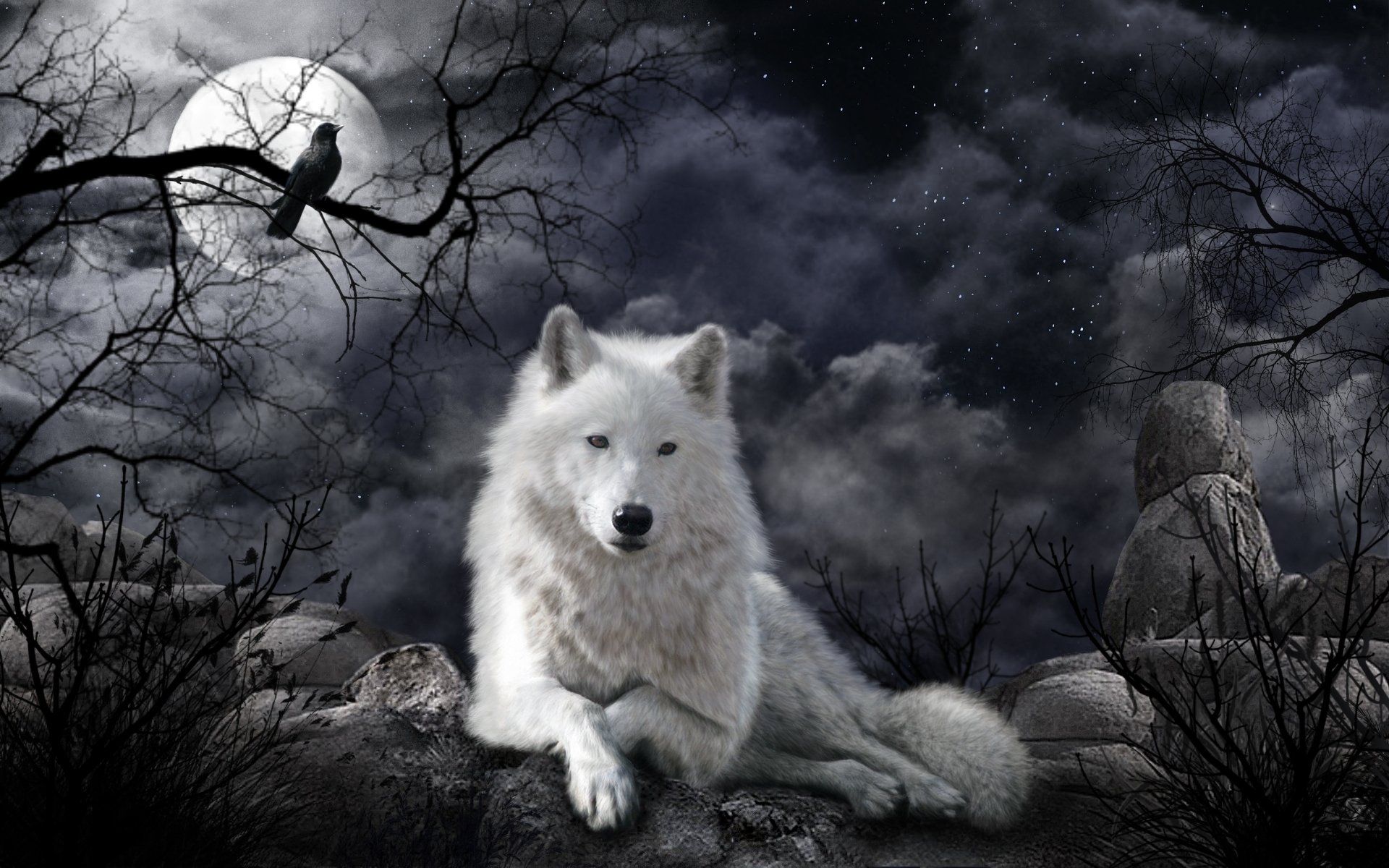 Halloween Wolf Wallpapers