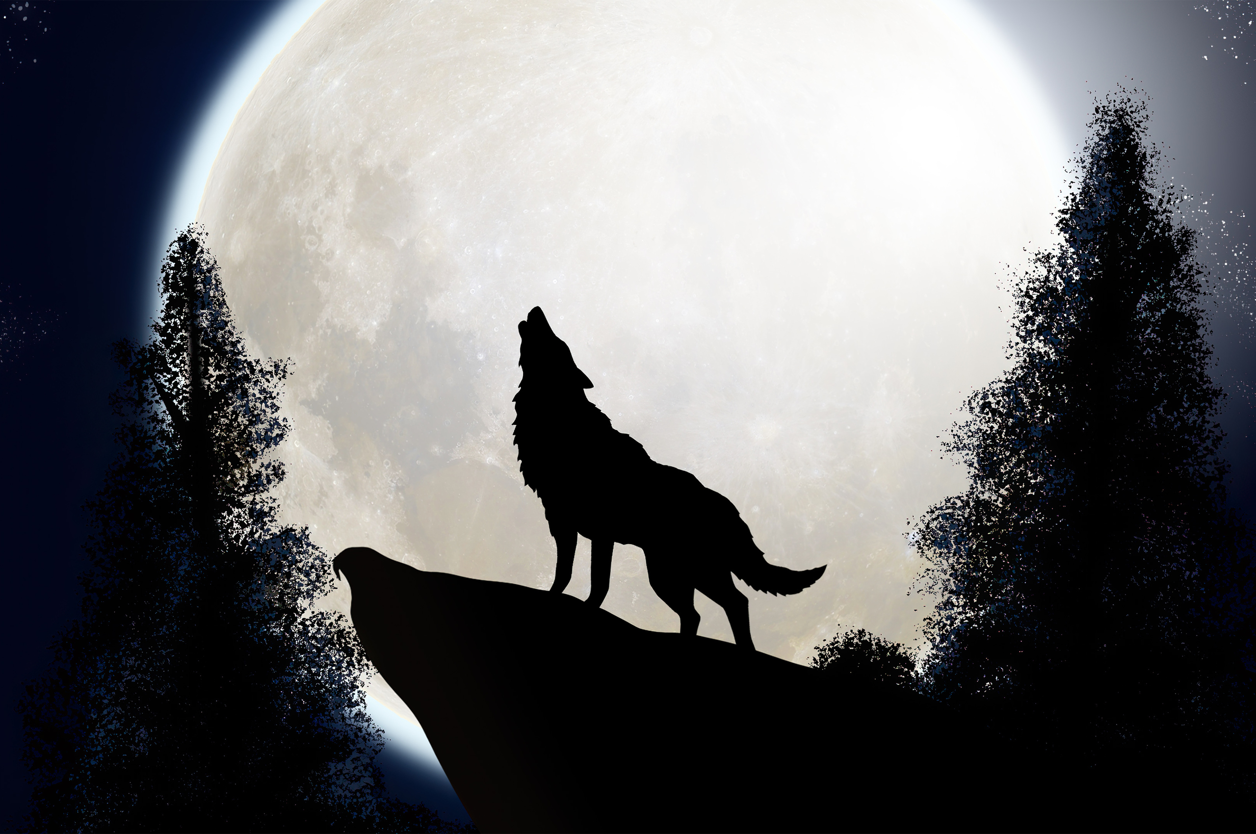 Halloween Wolf Wallpapers