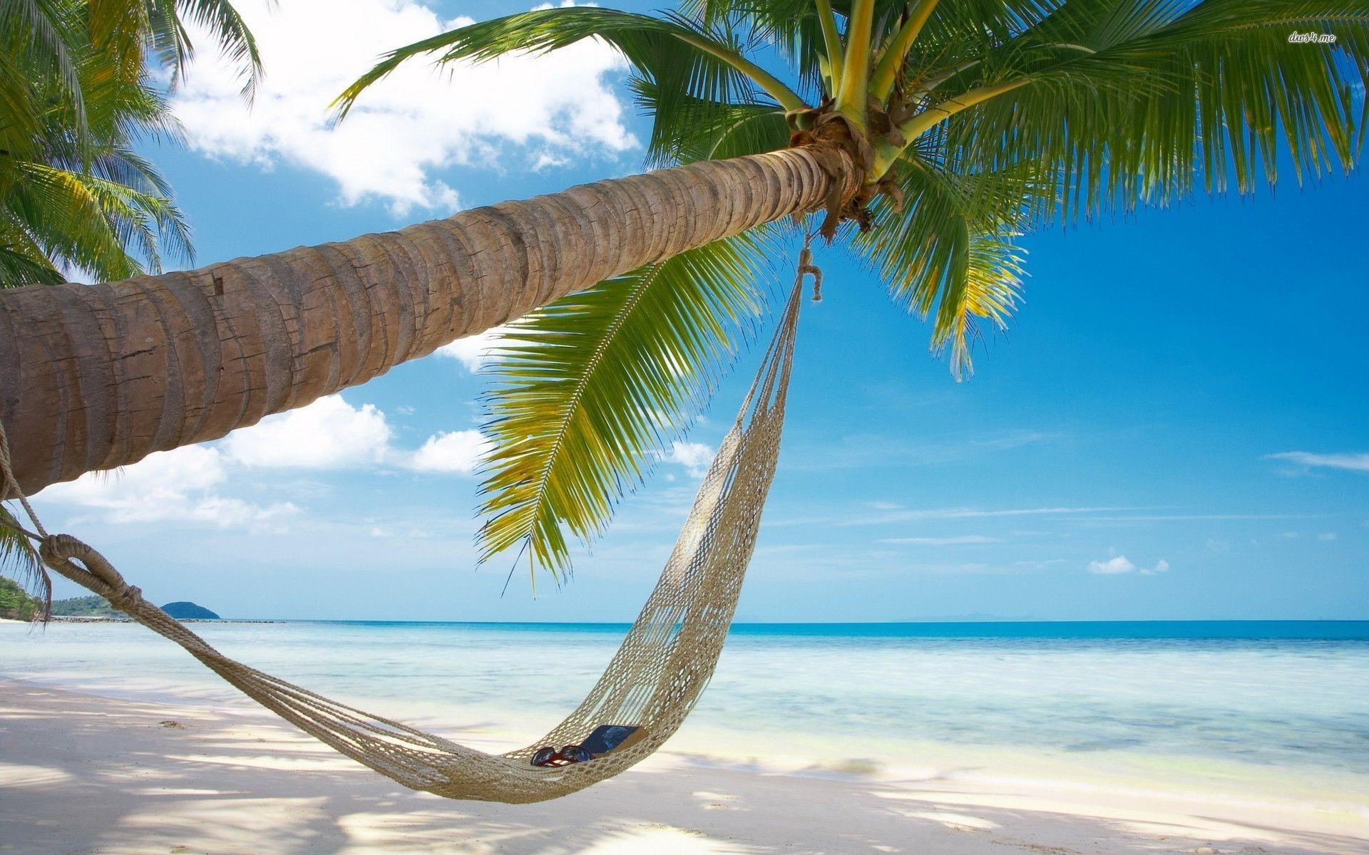 Hammock Wallpapers