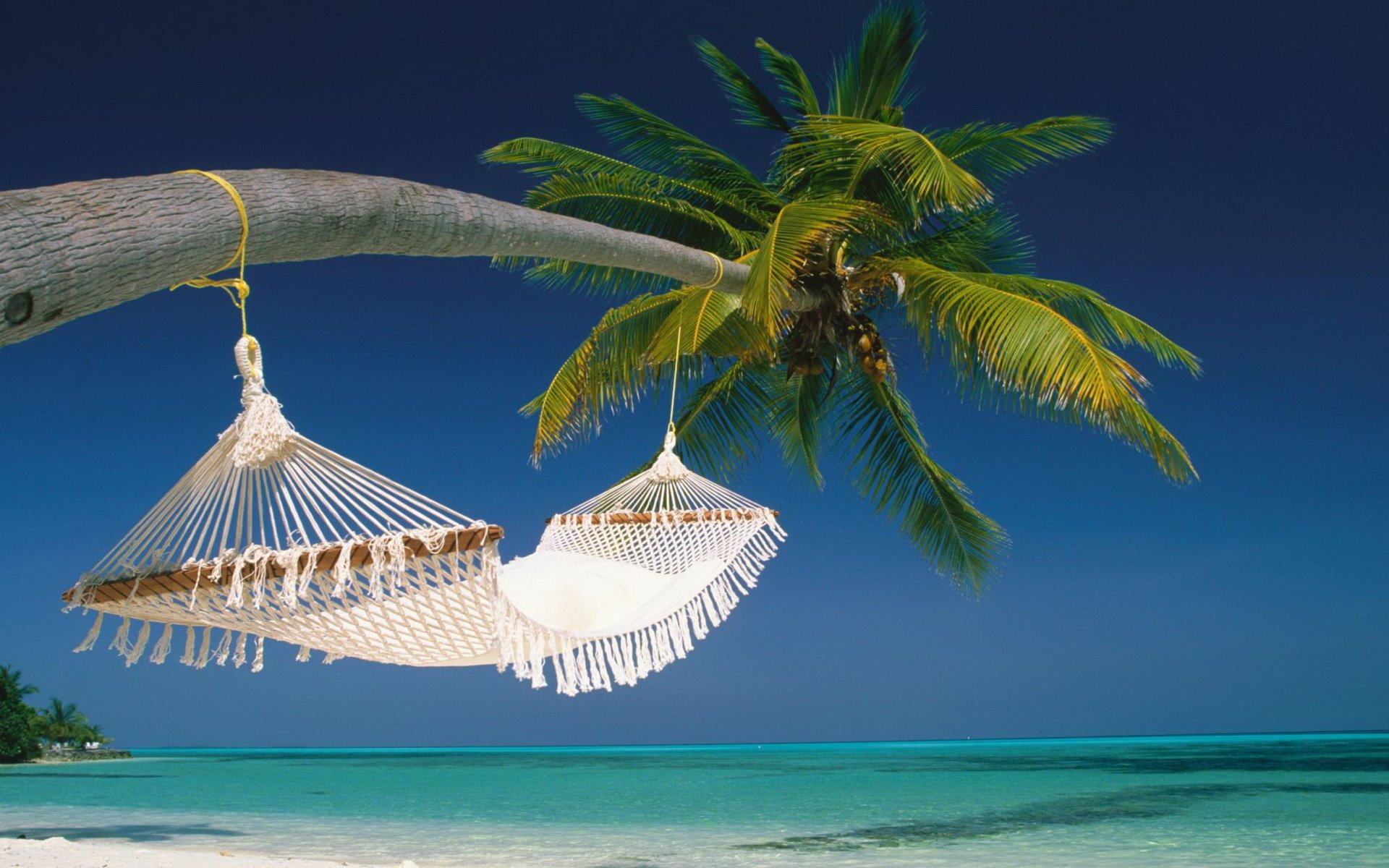 Hammock Wallpapers