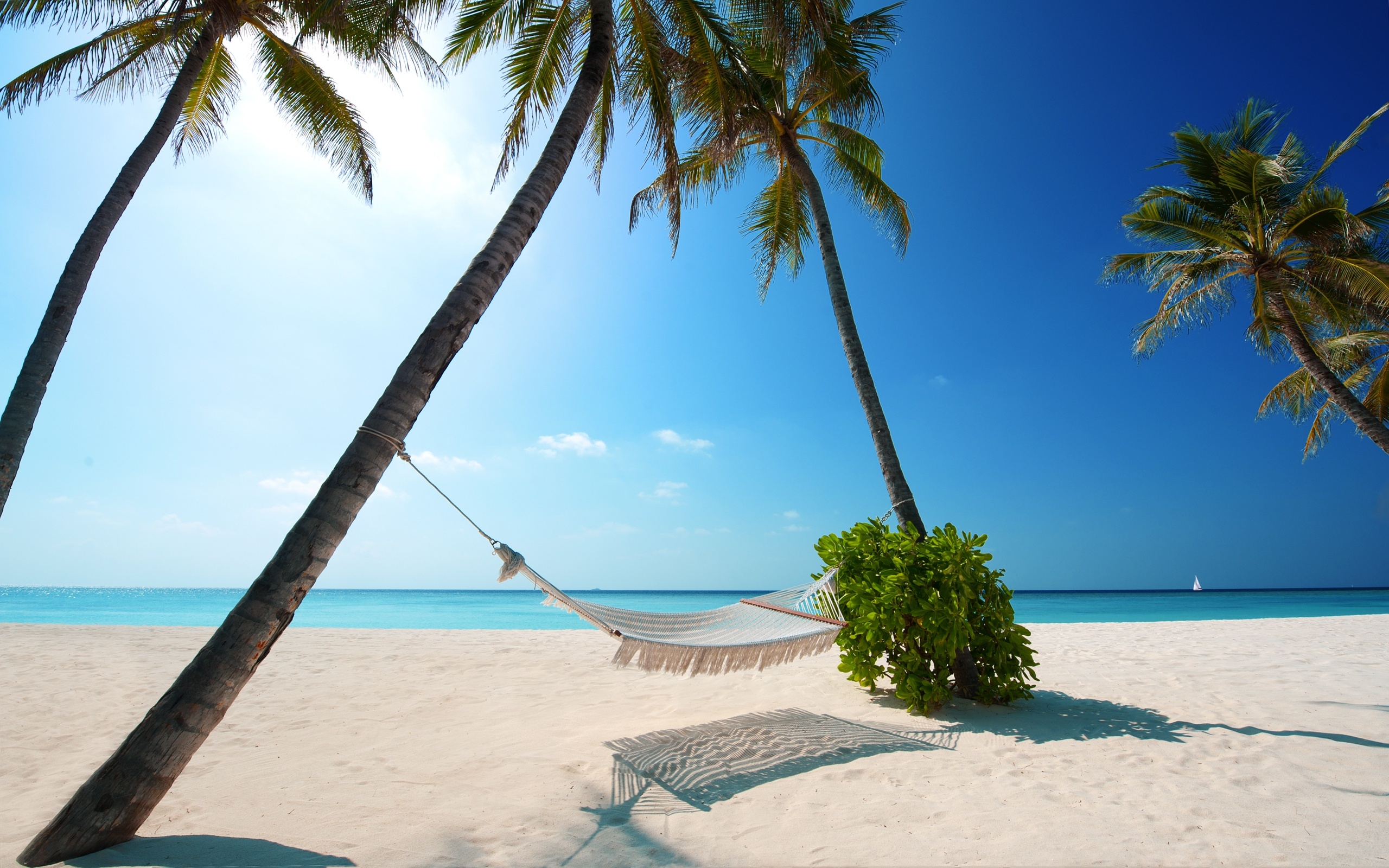 Hammock Wallpapers