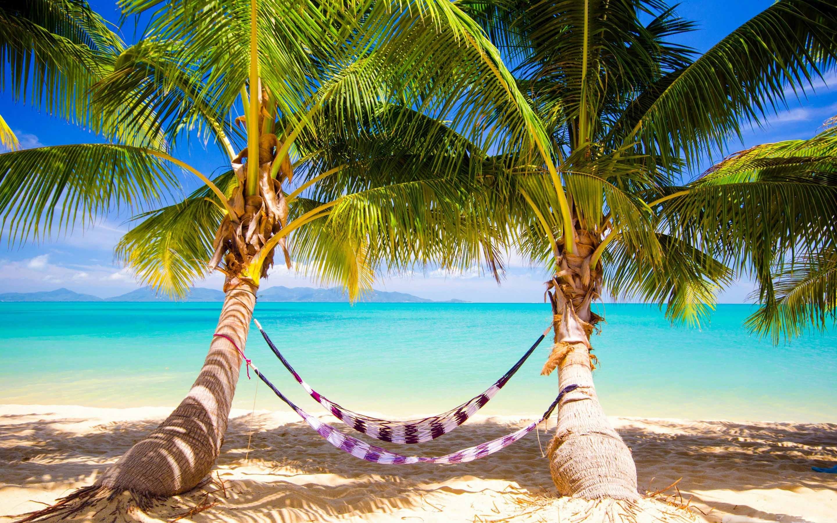 Hammock Wallpapers