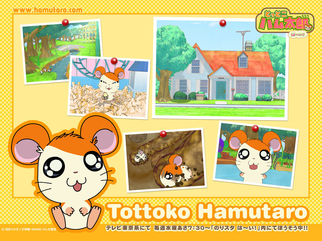 Hamtaro Wallpapers