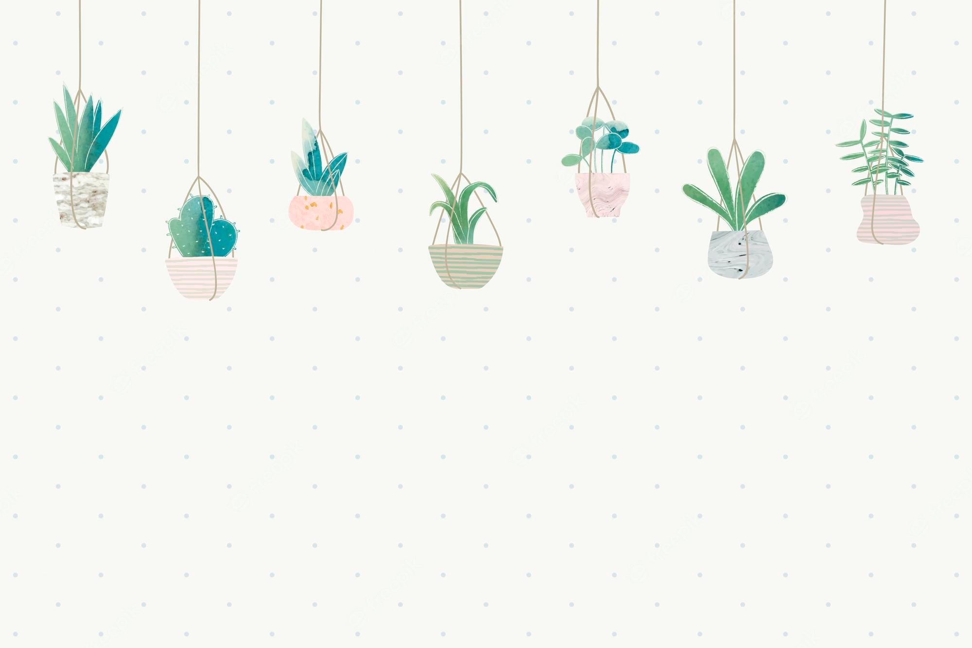 Hanging Plant Wallpapers