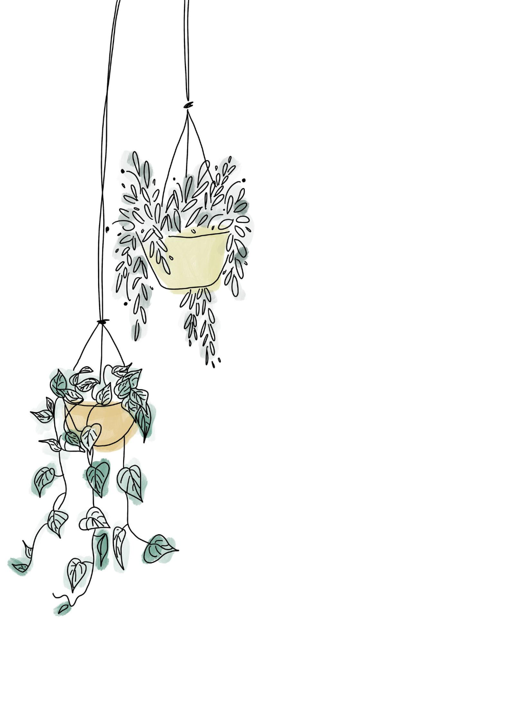 Hanging Plant Wallpapers