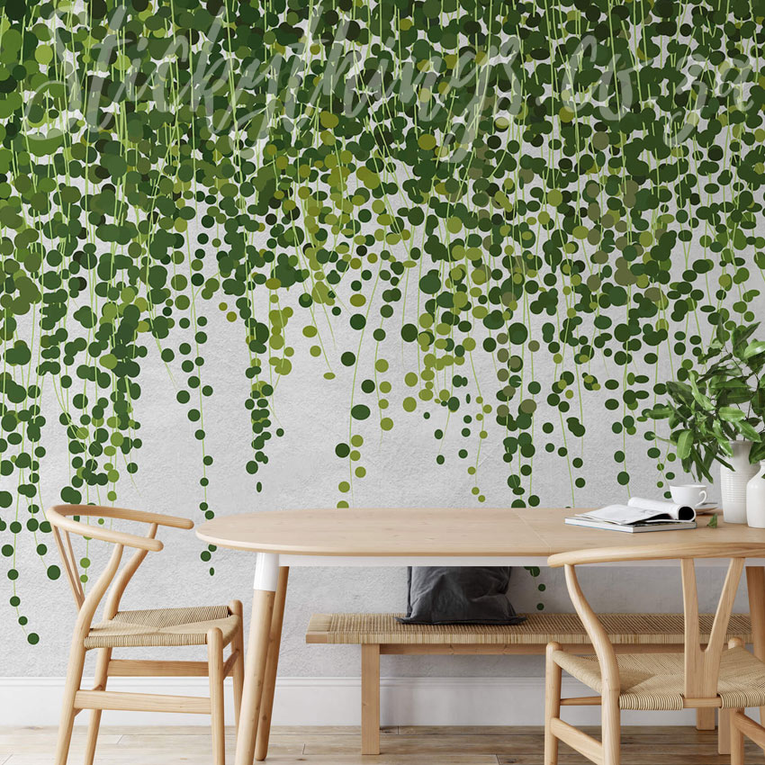 Hanging Plant Wallpapers