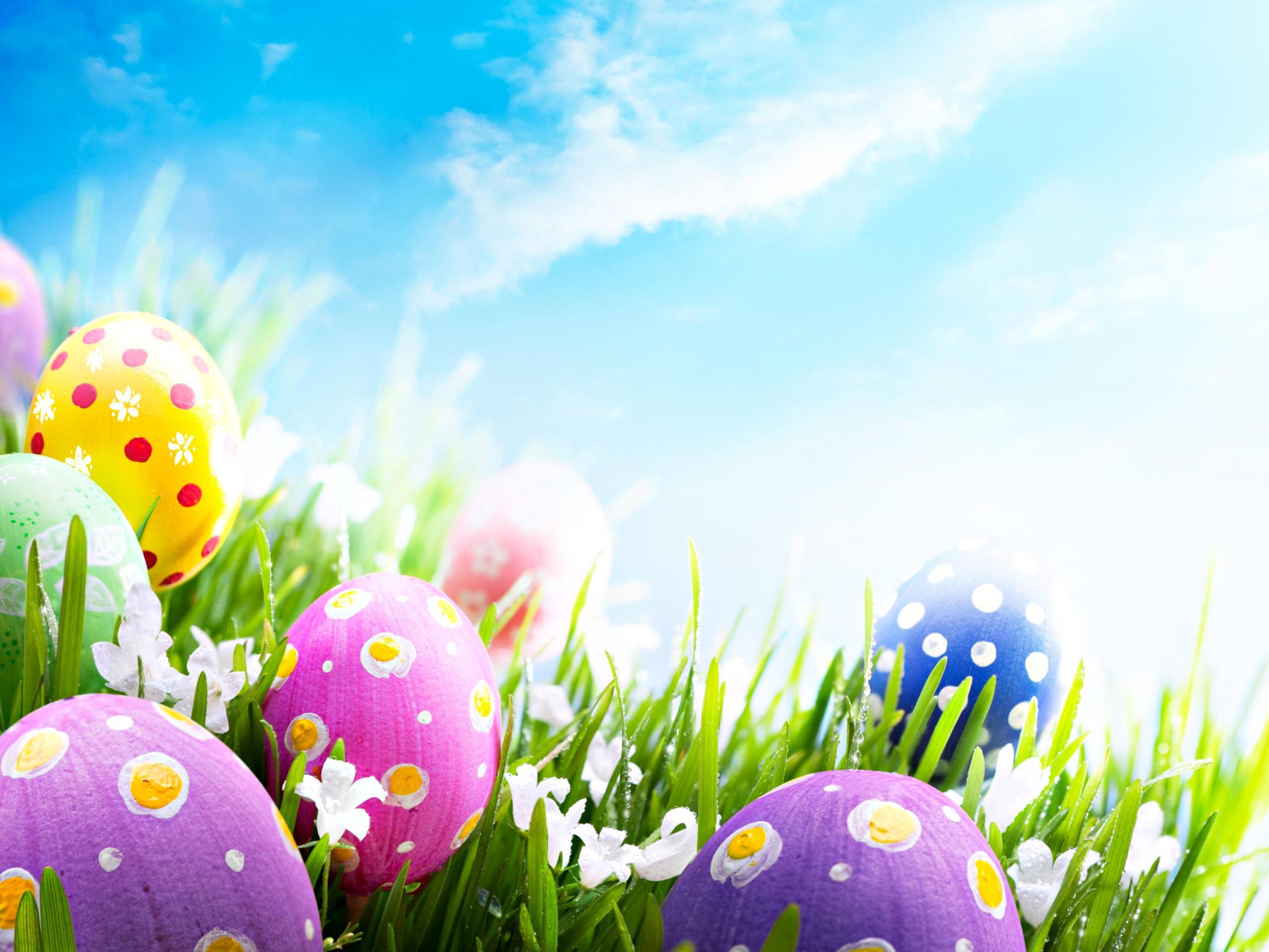 Happy Easter Winnie The Pooh Wallpapers