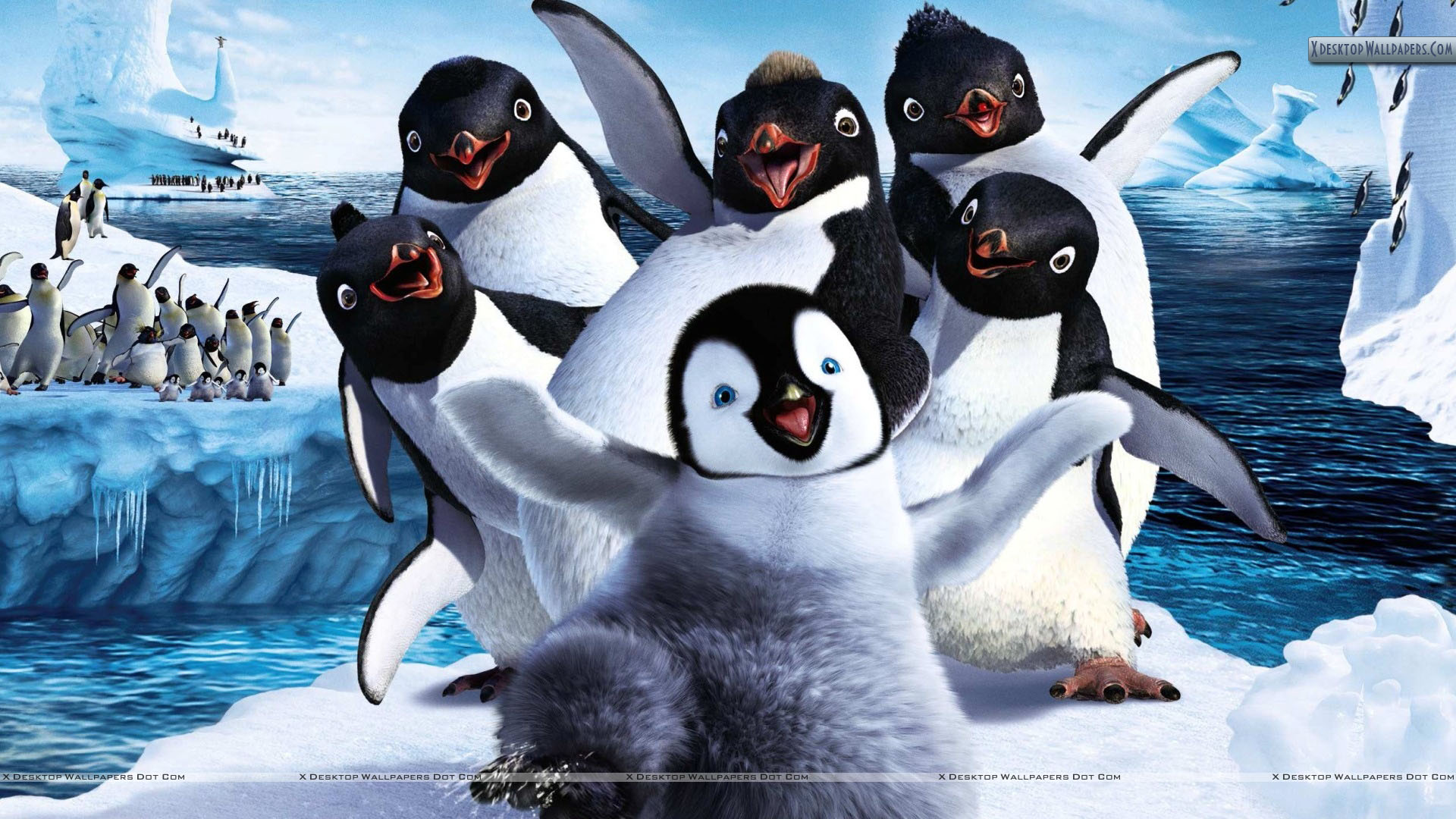 Happy Feet 2 Wallpapers