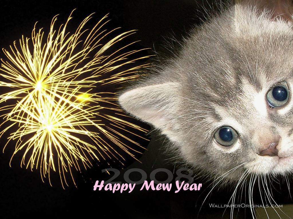 Happy New Year Cats Wallpapers