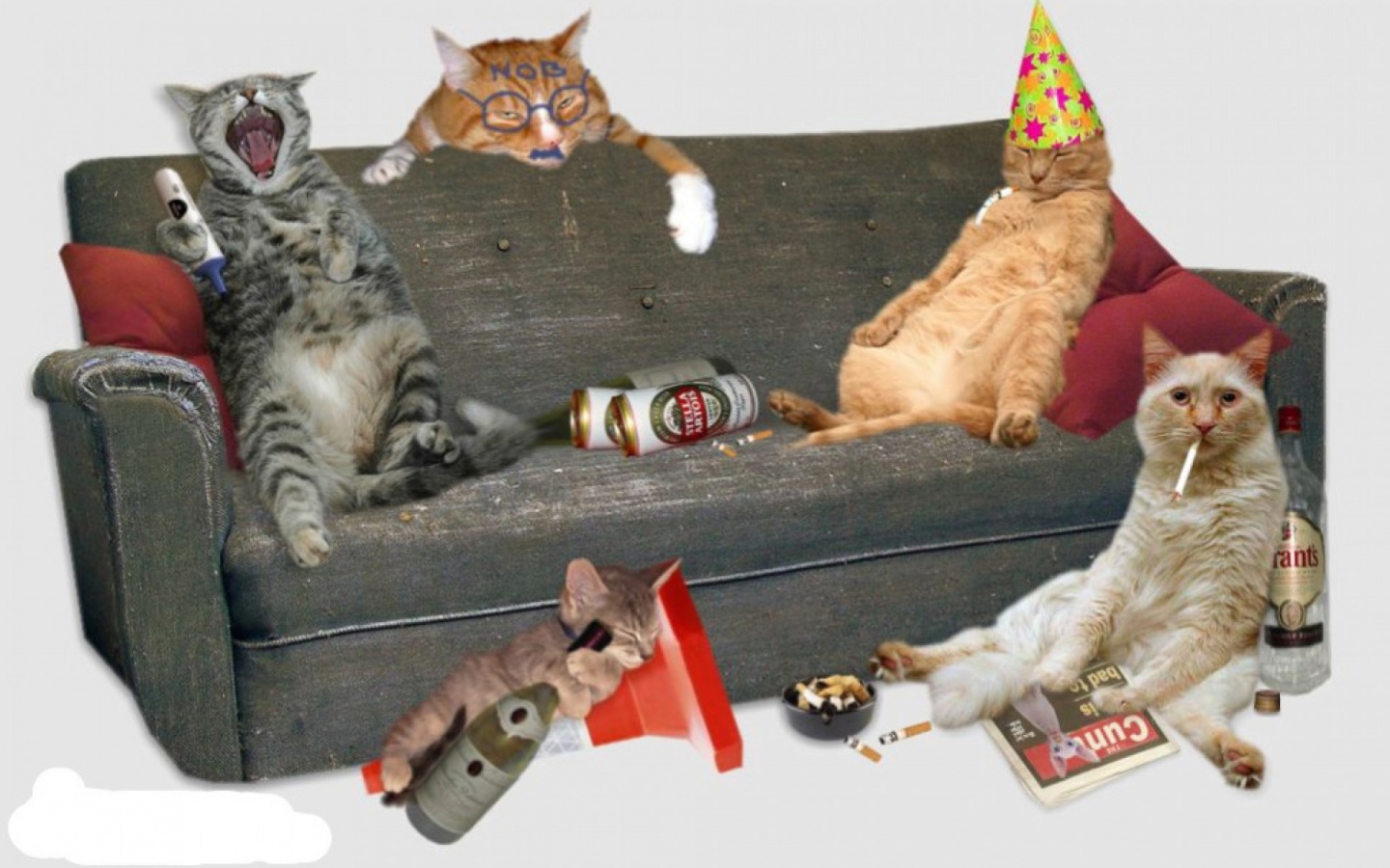 Happy New Year Cats Wallpapers