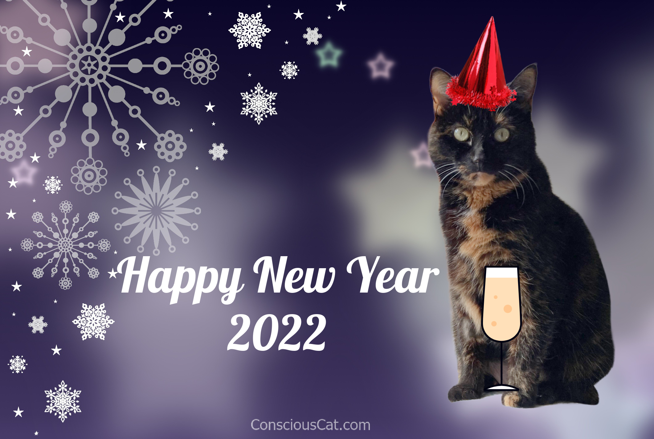 Happy New Year Cats Wallpapers