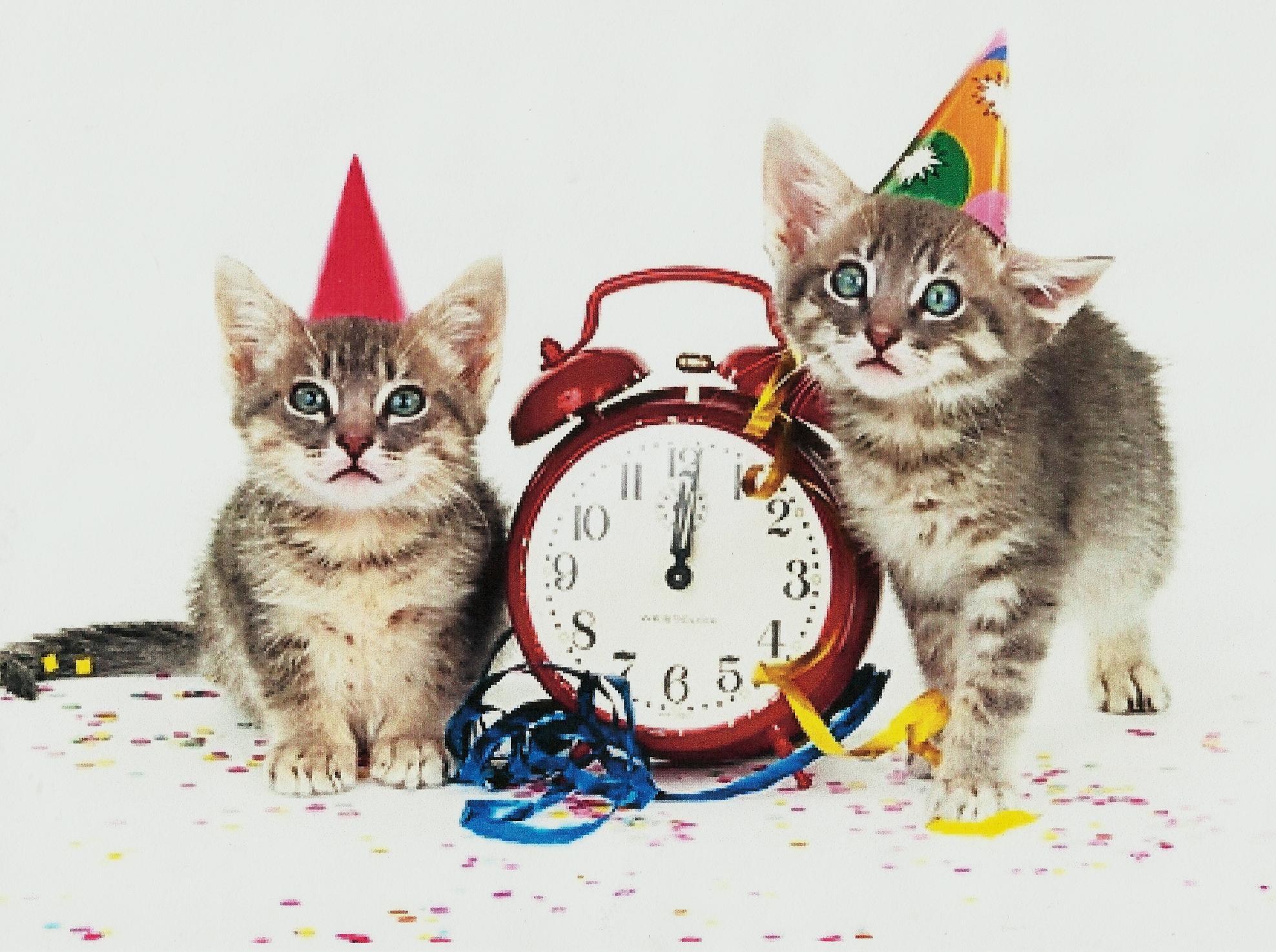 Happy New Year Cats Wallpapers