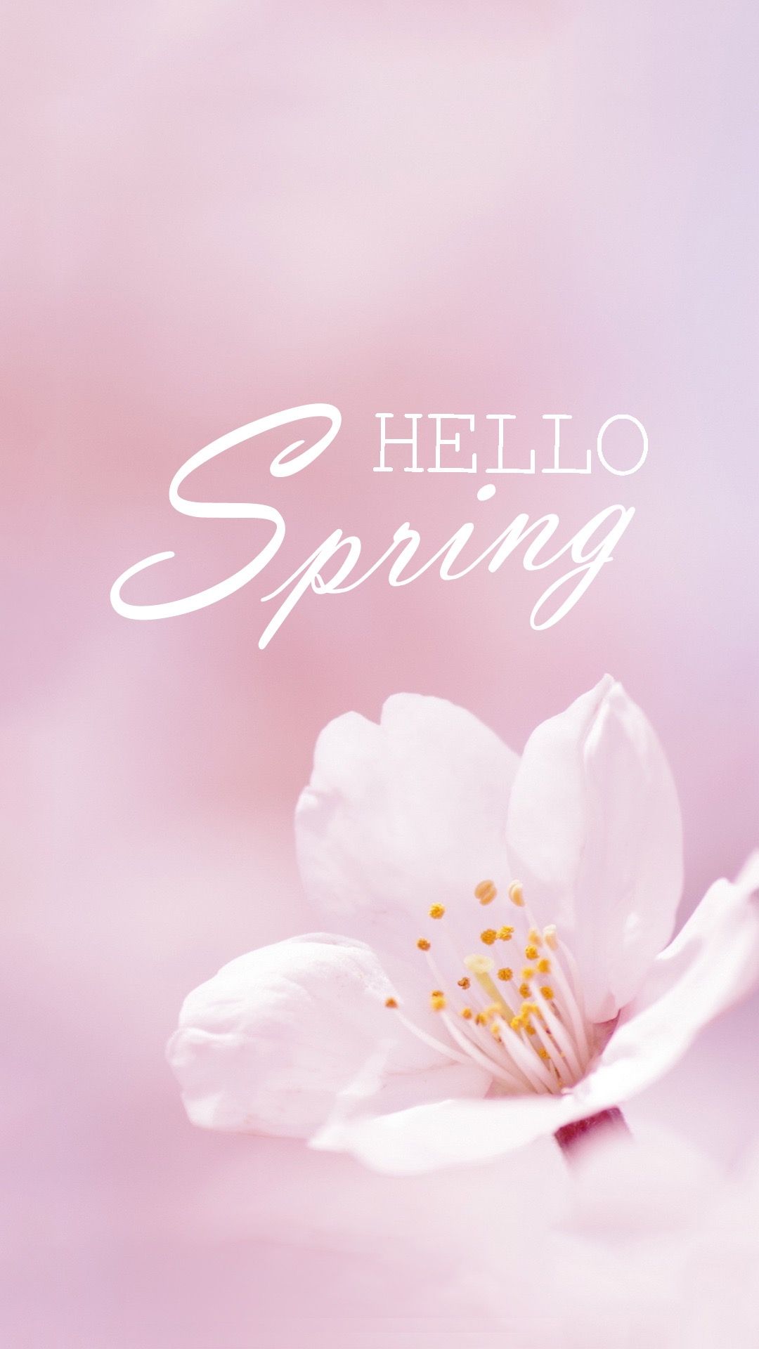 Happy Spring Wallpapers