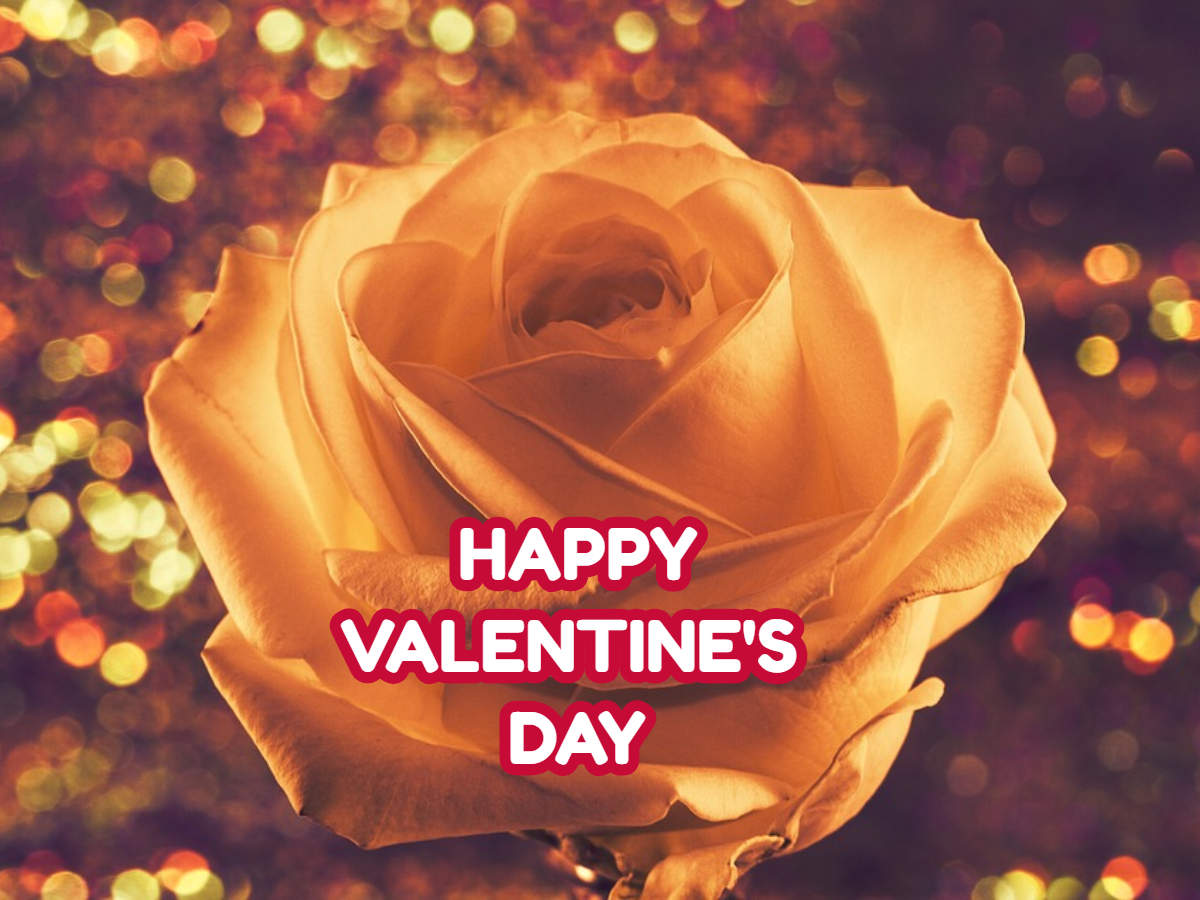 Happy Valentine'S Day Pic Wallpapers