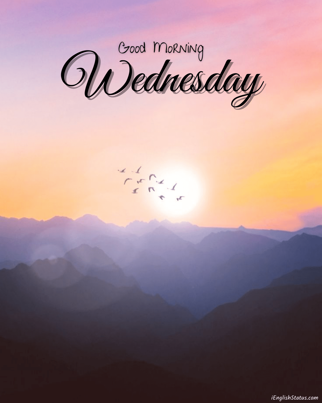 Happy Wednesday Wallpapers