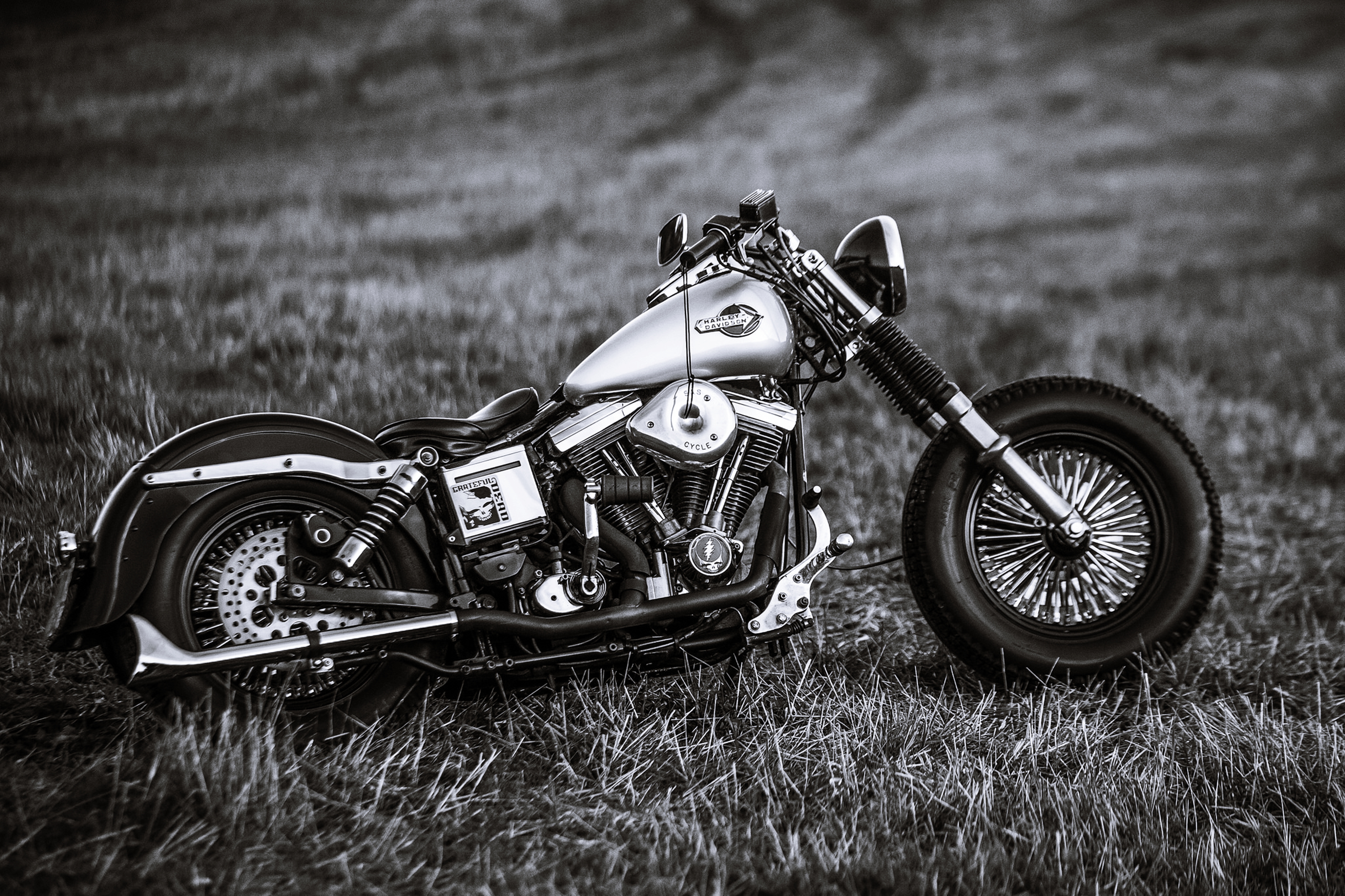 Harley Davidson 4K Wallpapers