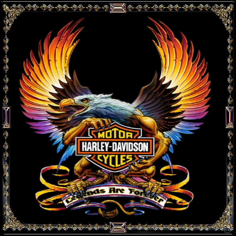 Harley Davidson Logo Eagle Wallpapers