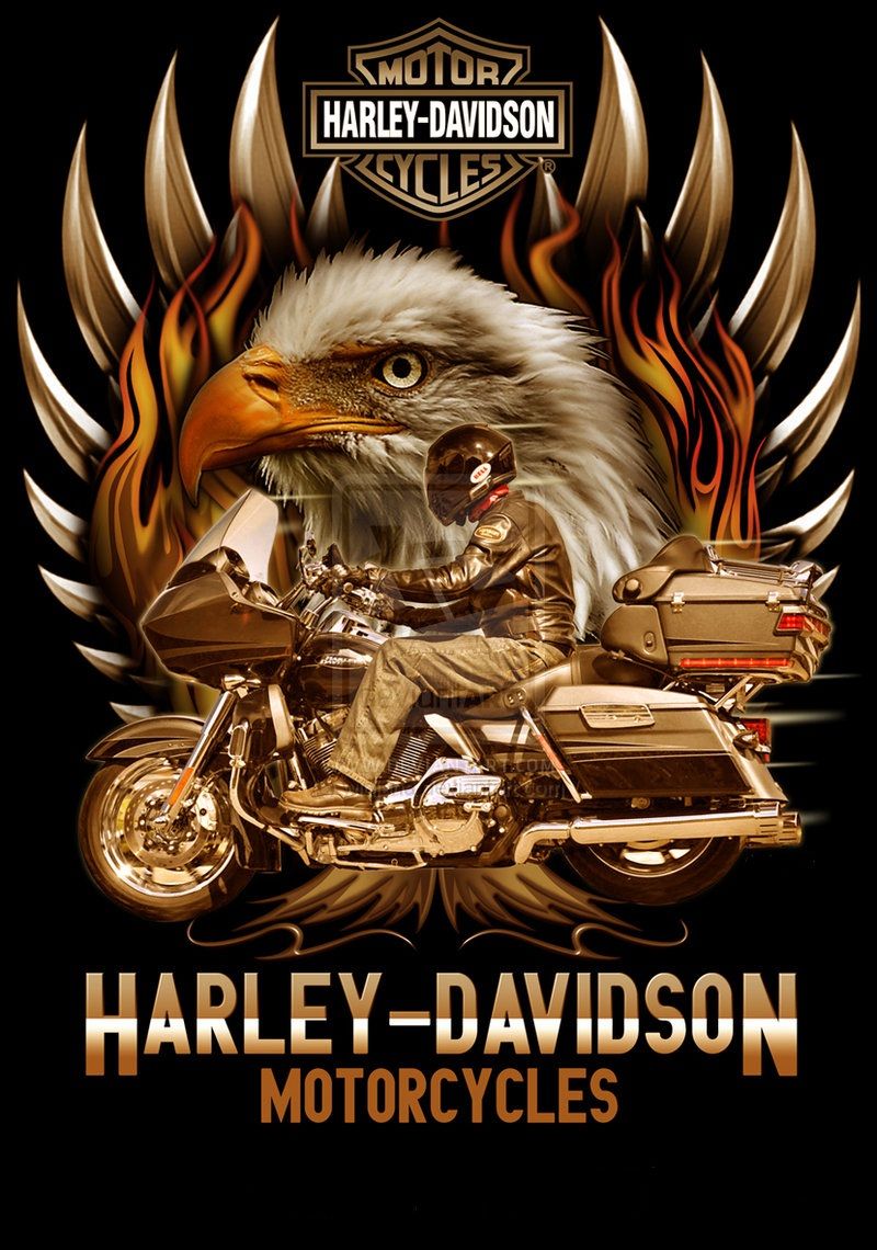 Harley Davidson Logo Eagle Wallpapers