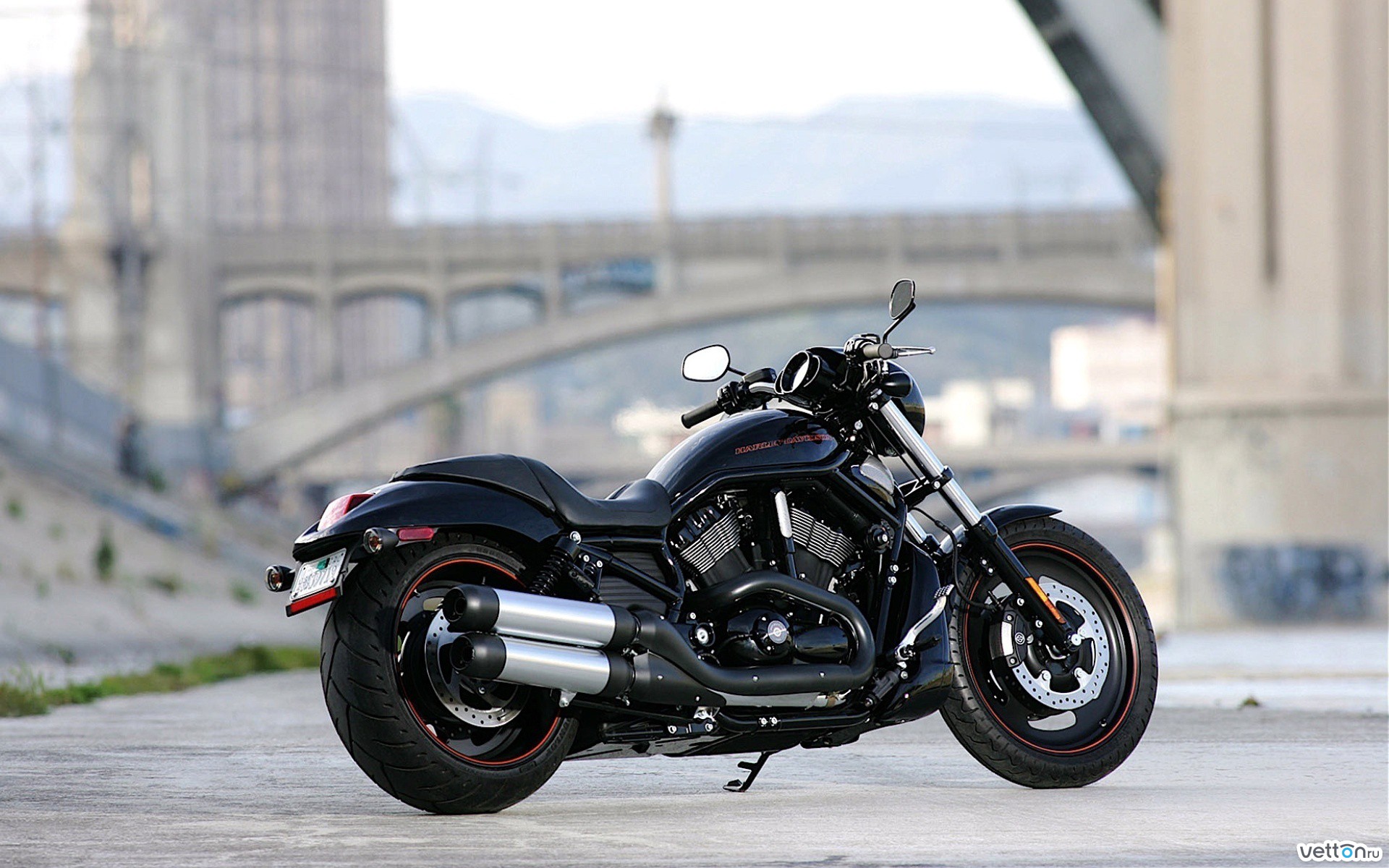 Harley-Davidson Night Rod Wallpapers