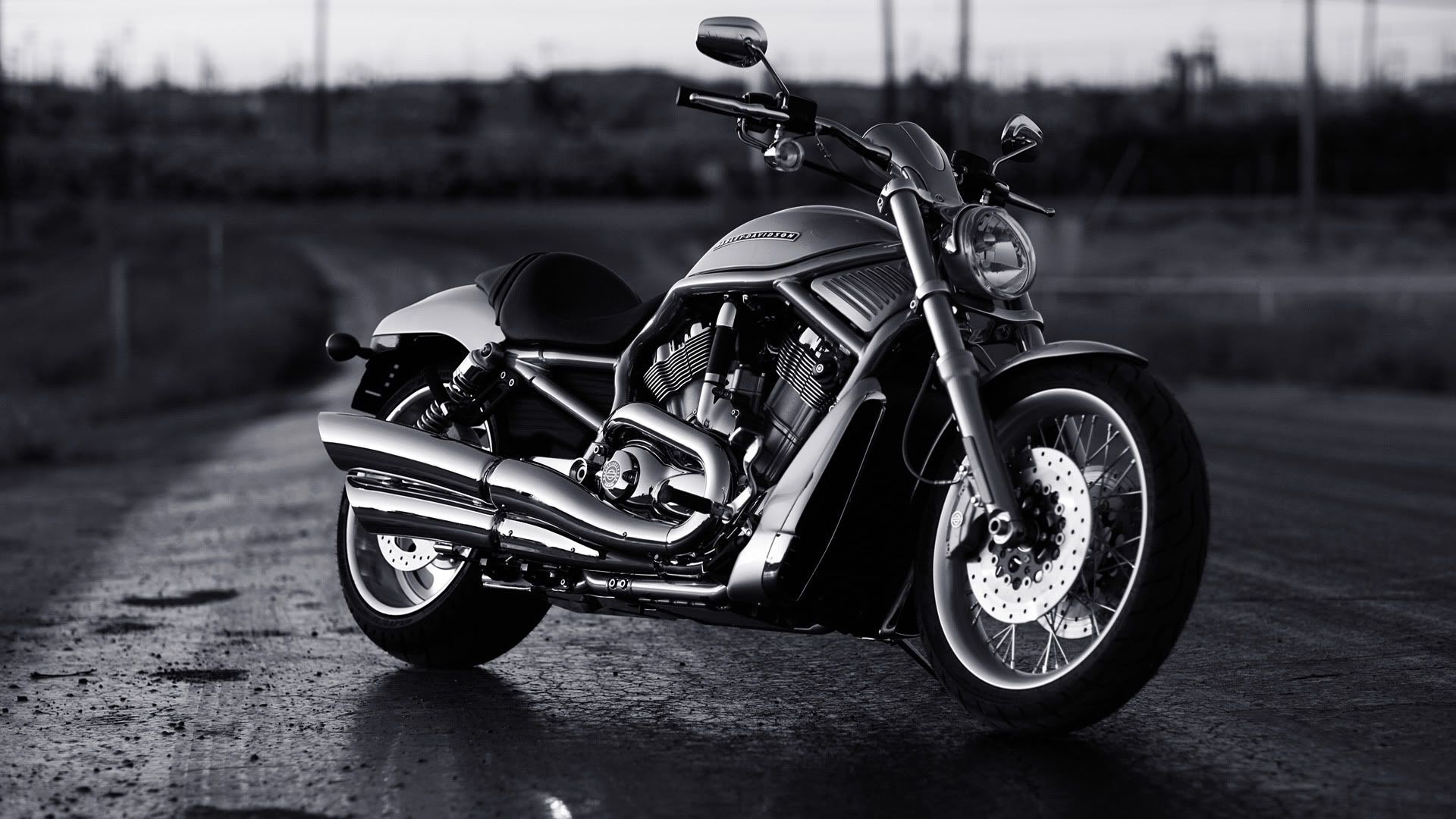 Harley-Davidson Night Rod Wallpapers