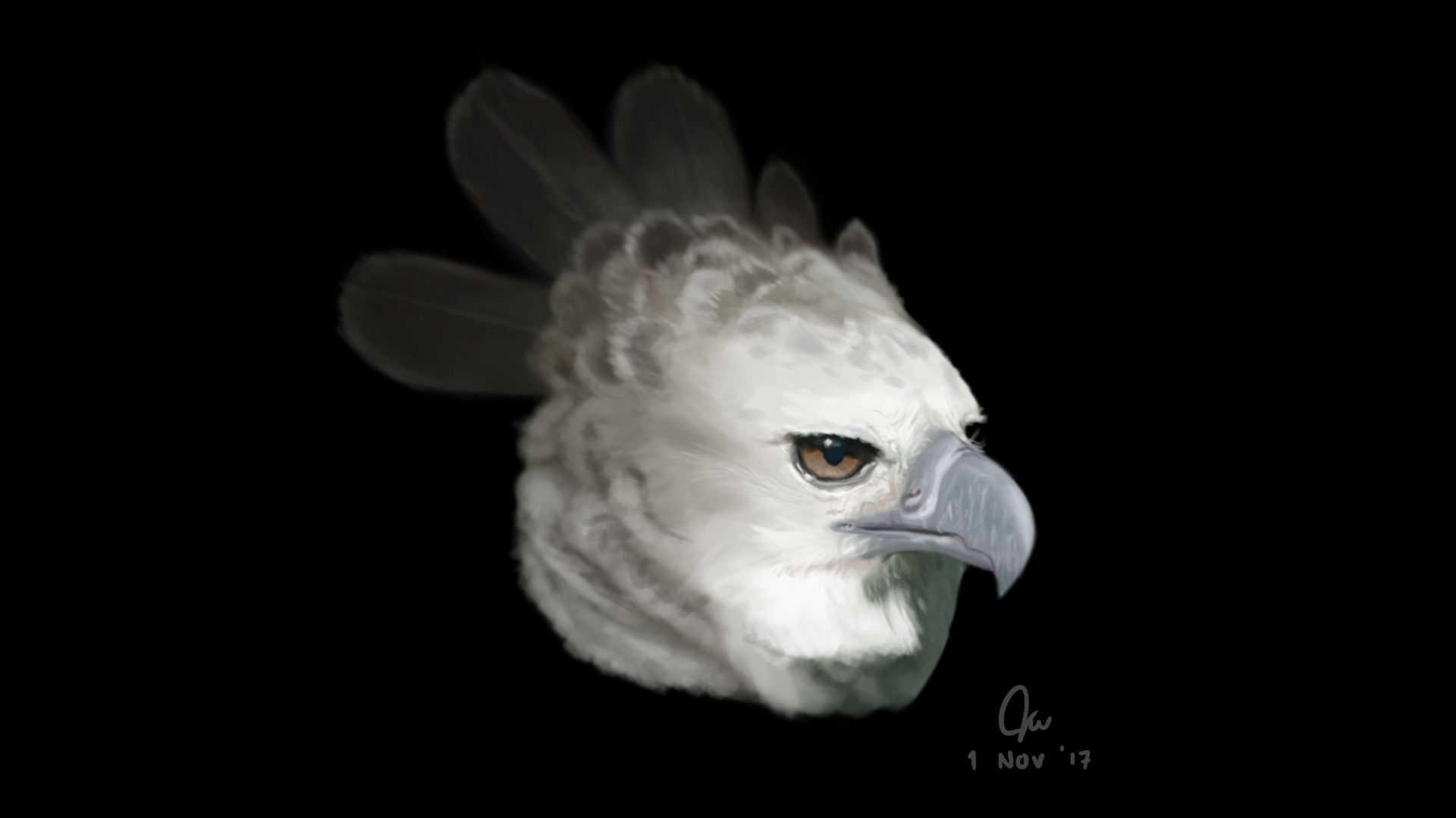 Harpy Eagle Wallpapers