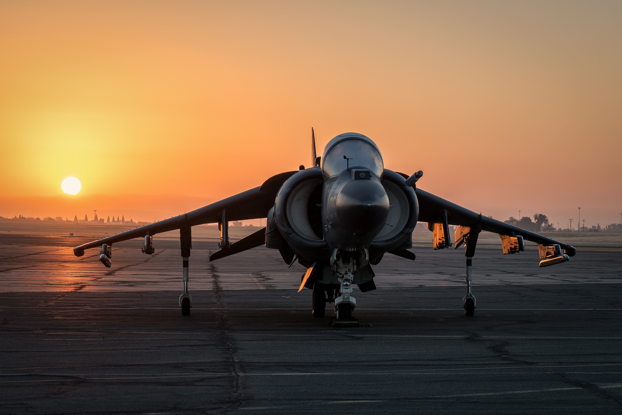 Harrier Wallpapers