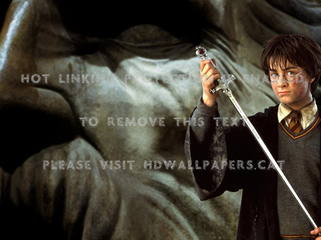 Harry Potter And The Chamber Of Secrets Wallpapers