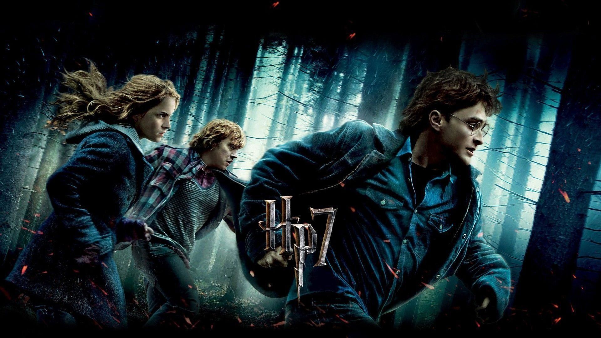 Harry Potter And The Chamber Of Secrets Wallpapers