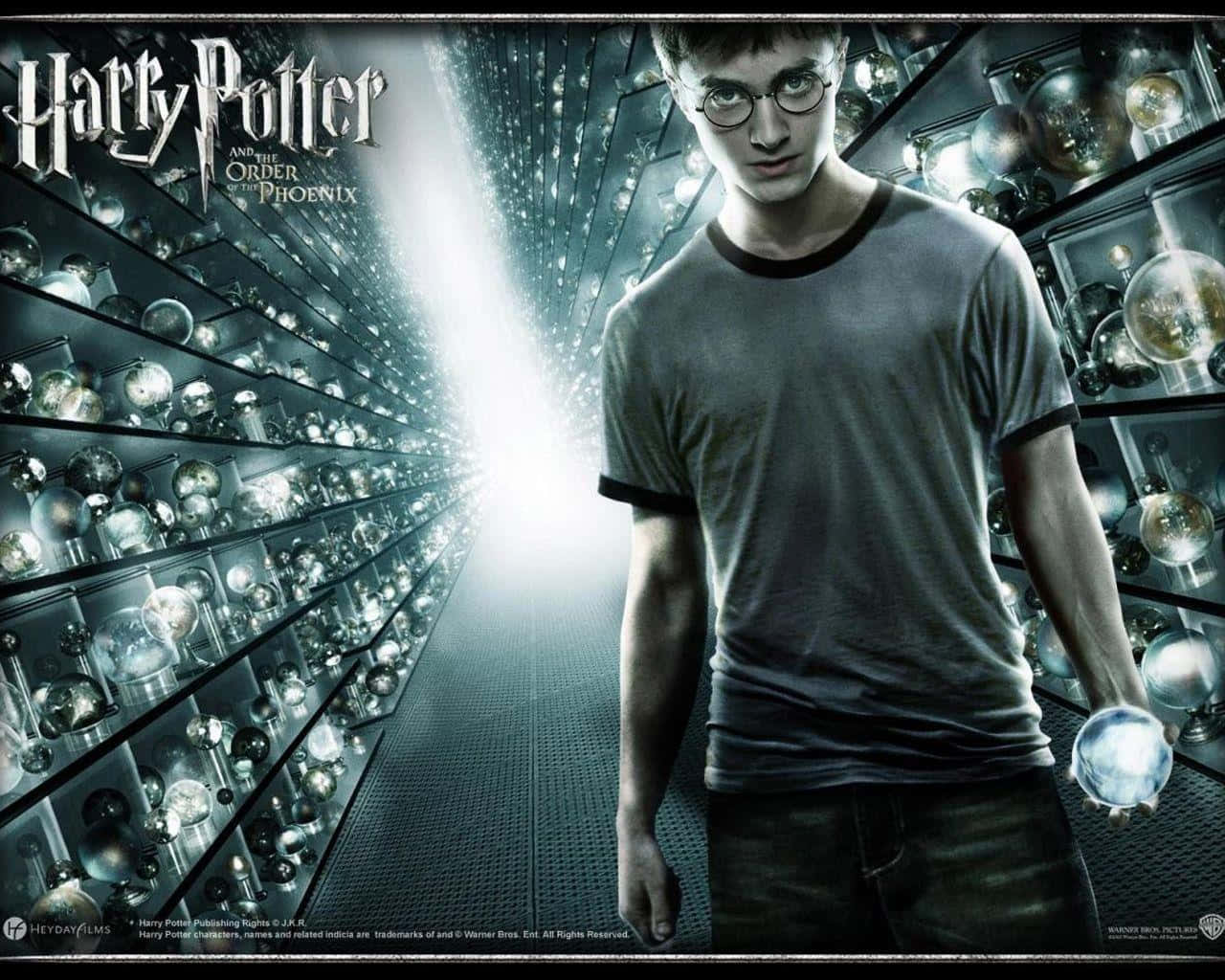 Harry Potter And The Order Of The Phoenix Wallpapers