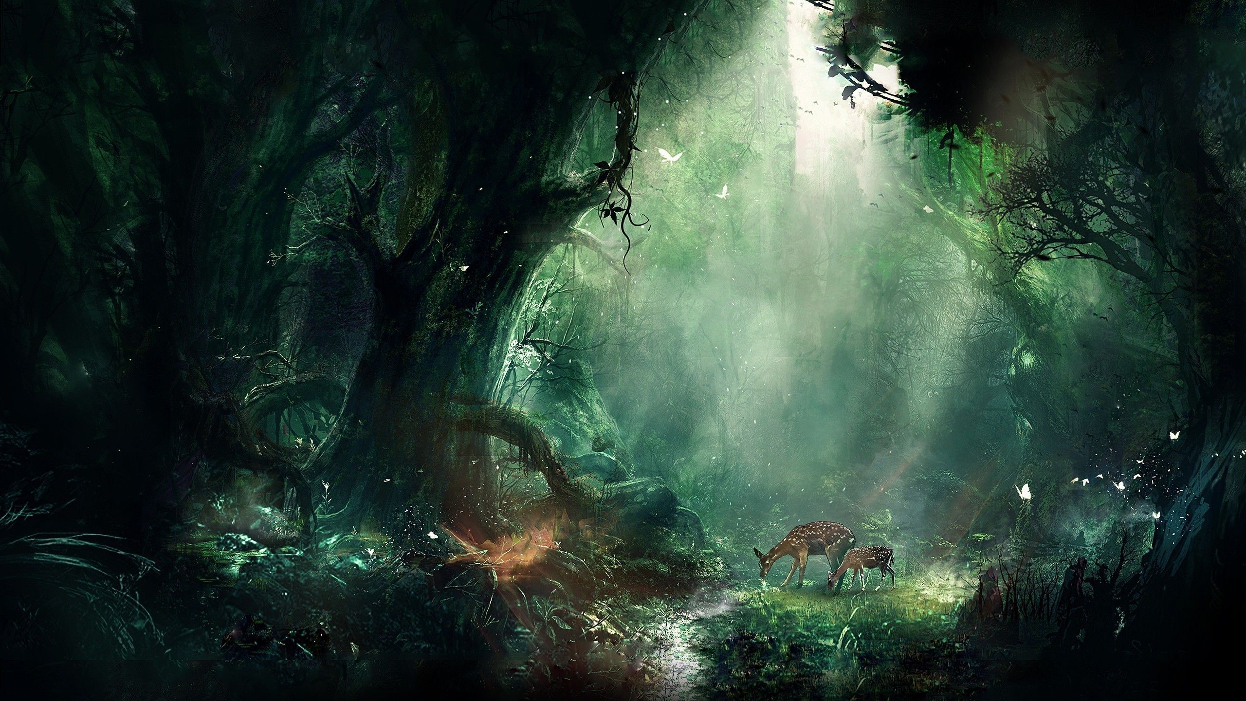 Harry Potter Forest Background