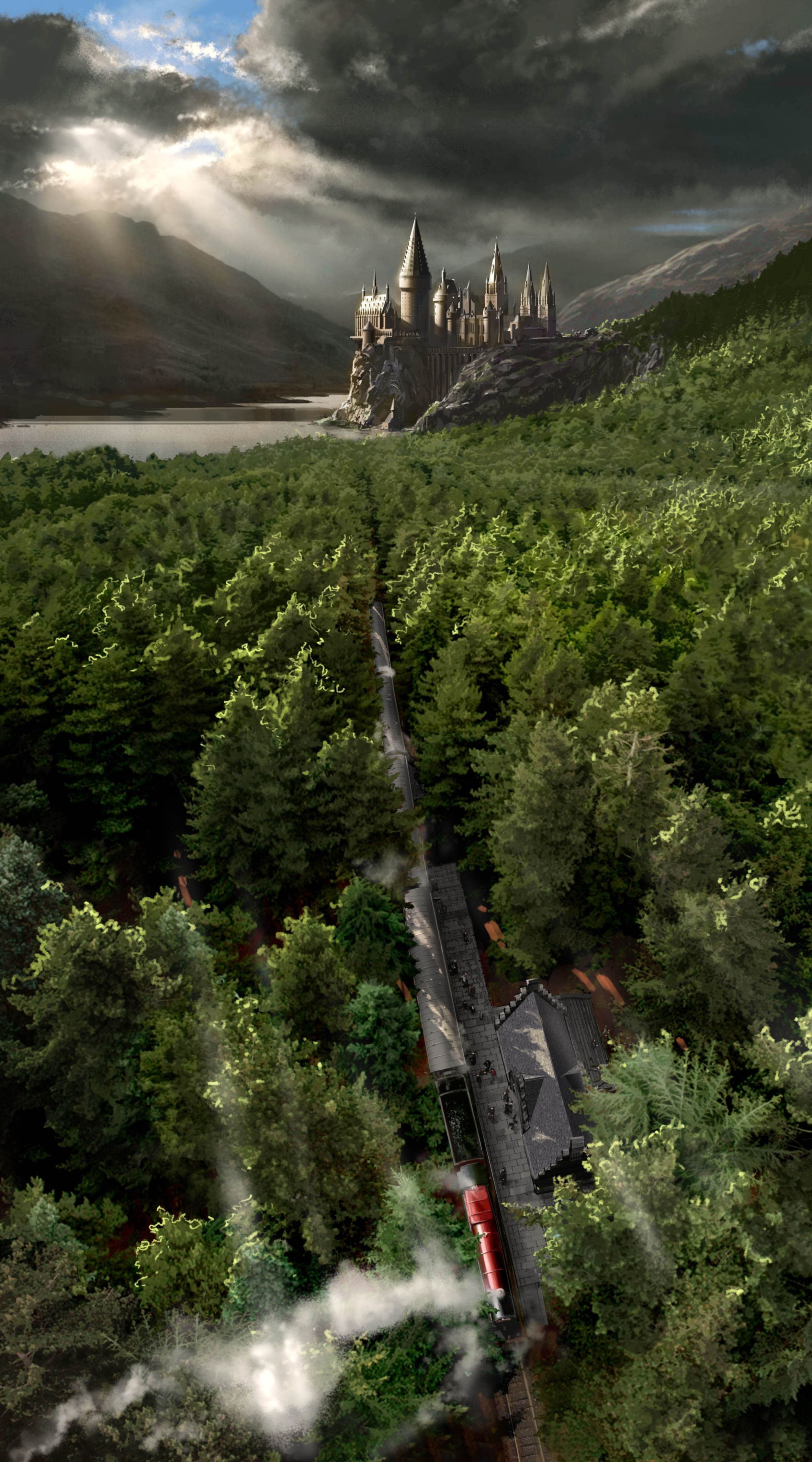 Harry Potter Forest Background