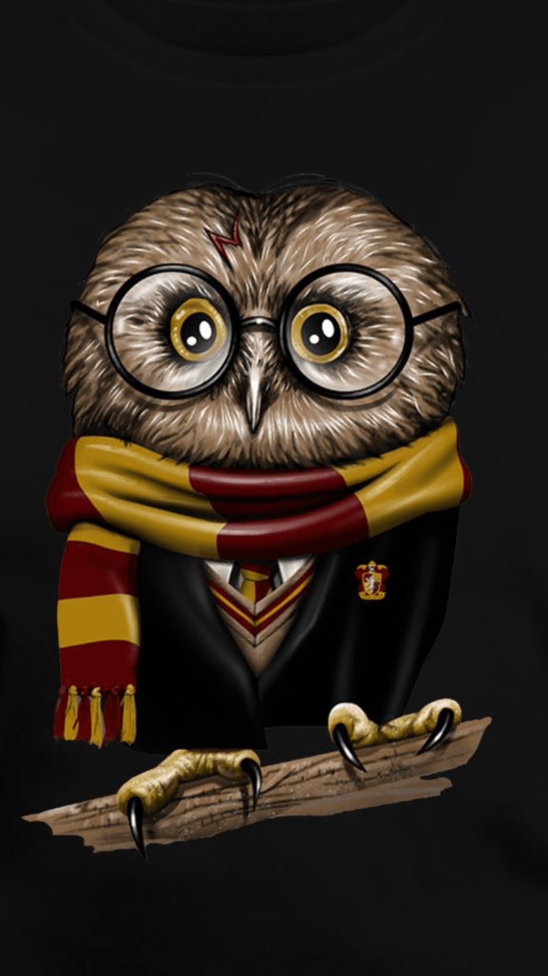 Harry Potter Owl Clipart Wallpapers