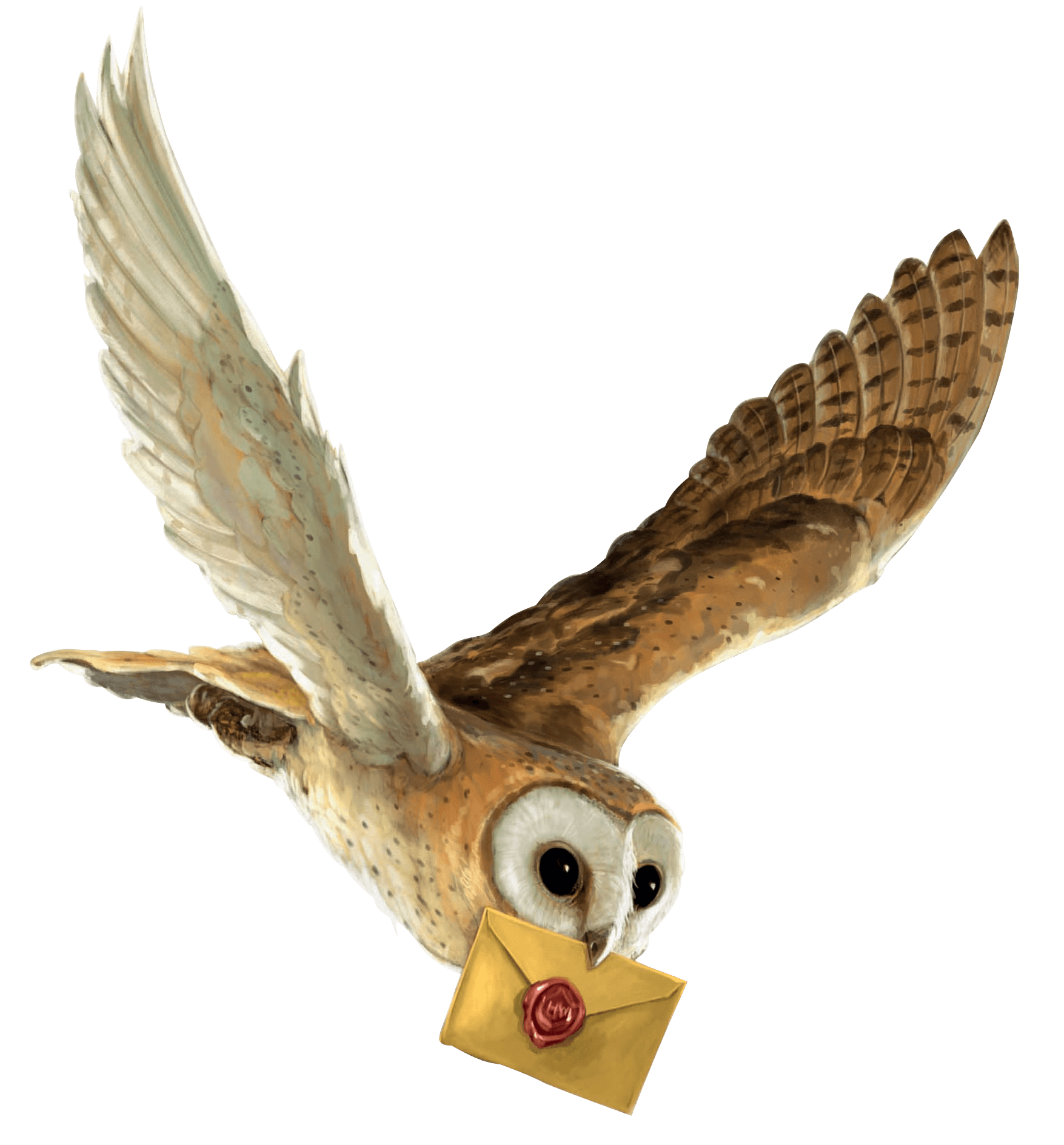 Harry Potter Owl Clipart Wallpapers